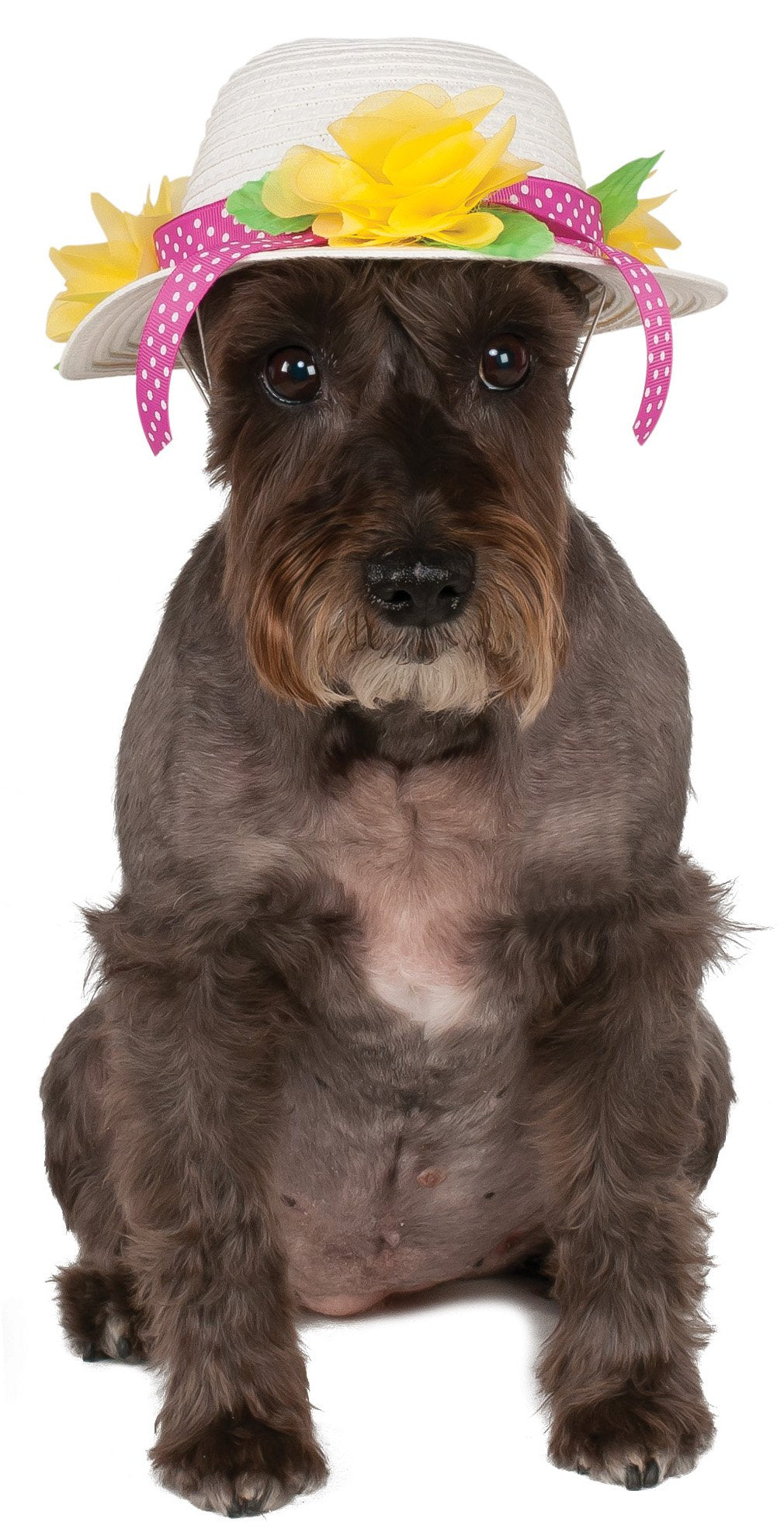 Rubie's Kentucky Derby/Easter Bonnet Hat for Pets, Small/Medium
