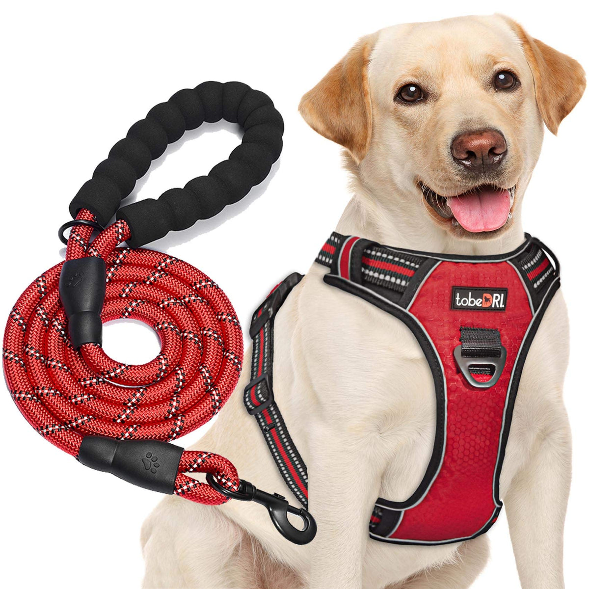 Tobedri No Pull Dog Harness Adjustable Reflective Oxford Easy Control Medium Large Dog Harness With A Free Heavy Duty 5Ft Dog Leash (M (Neck: 14.5'-20.5', Chest: 22'-28'), Red Harness+Leash)