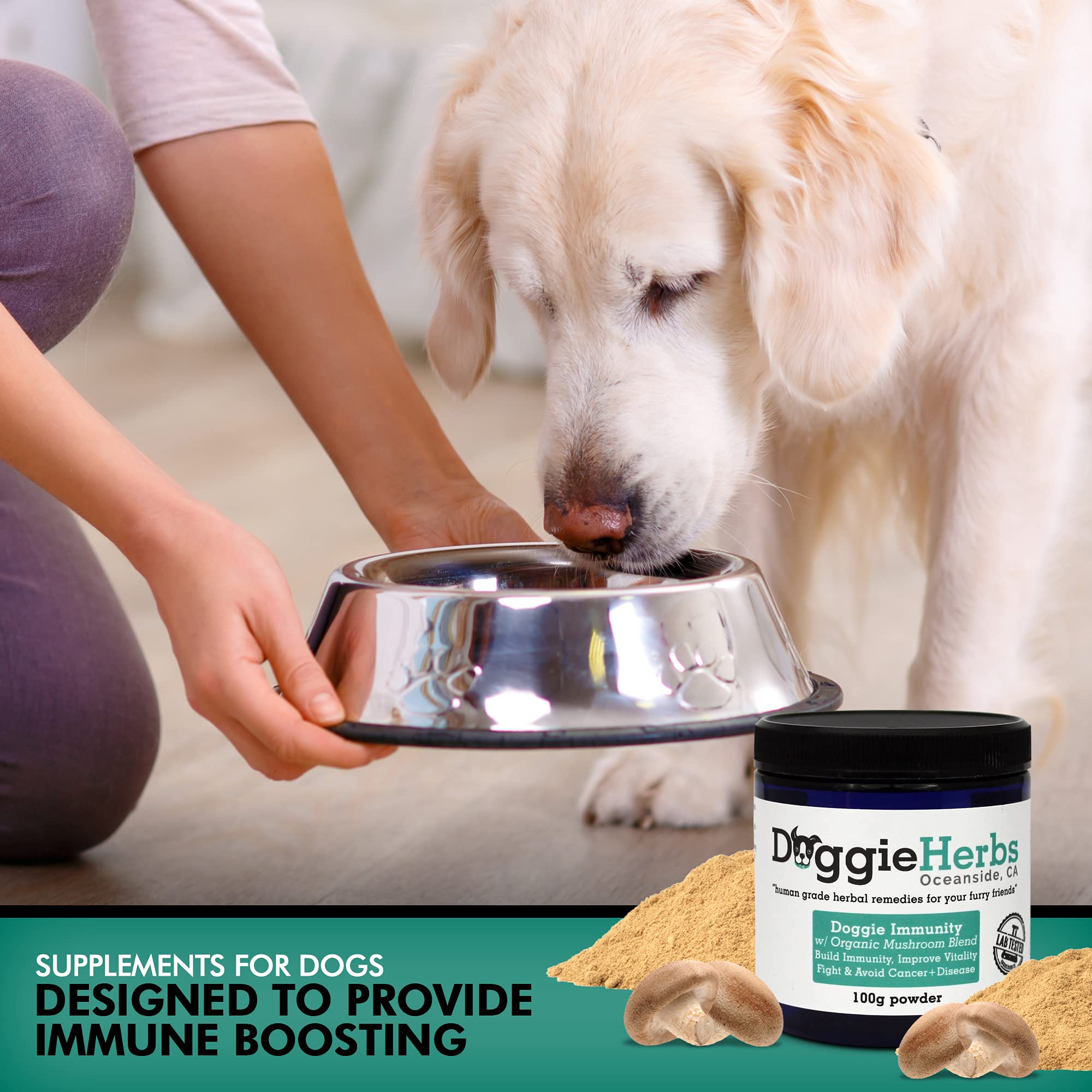 Doggie Herbs Immunity for Dogs Organic Mushrooms 22.3% Beta Glucan - Canine Health & Immunity Boost Dog Supplements - Herbal Pow