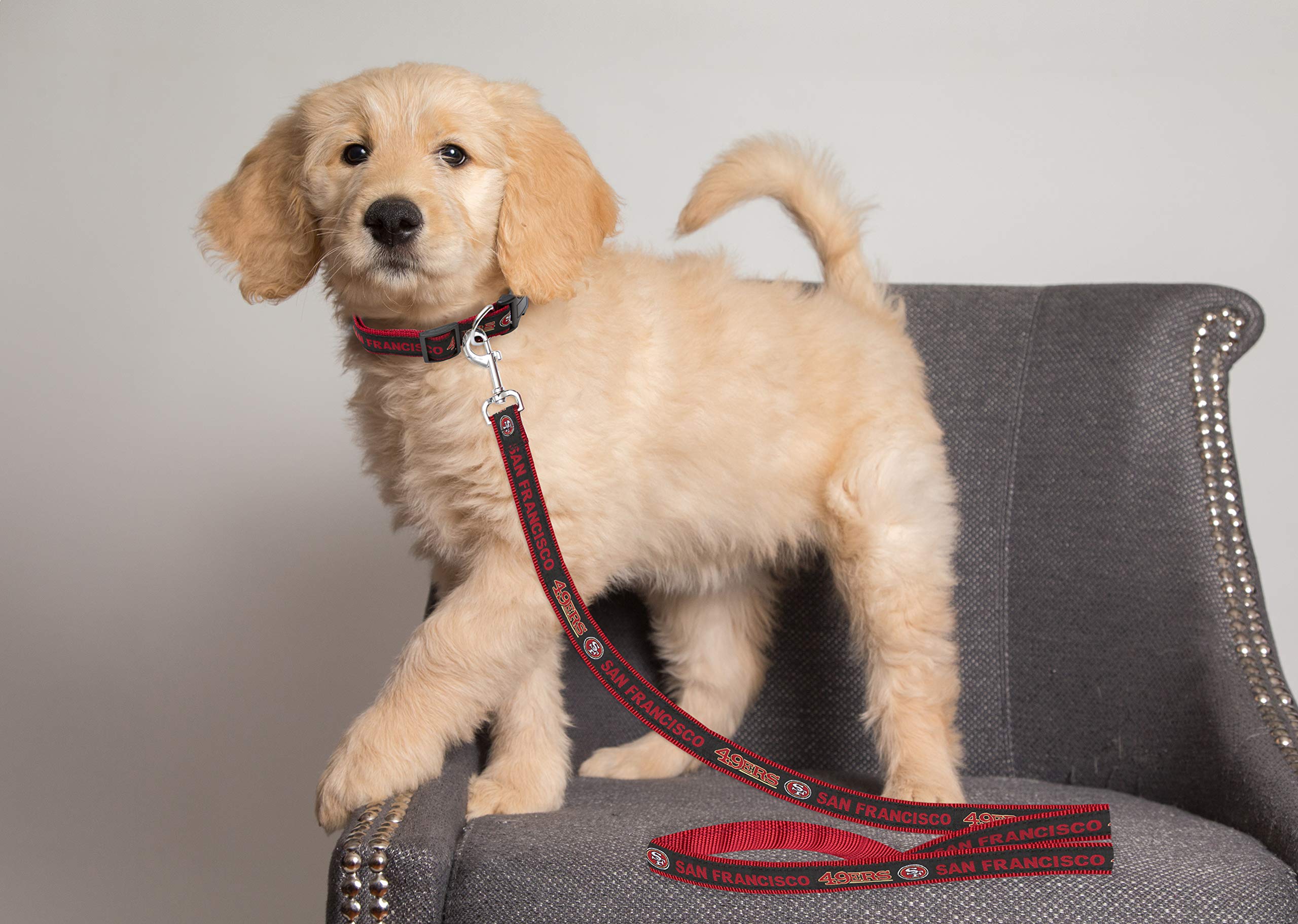 Pets First NFL Pet Leash Small, San Francisco 49ers