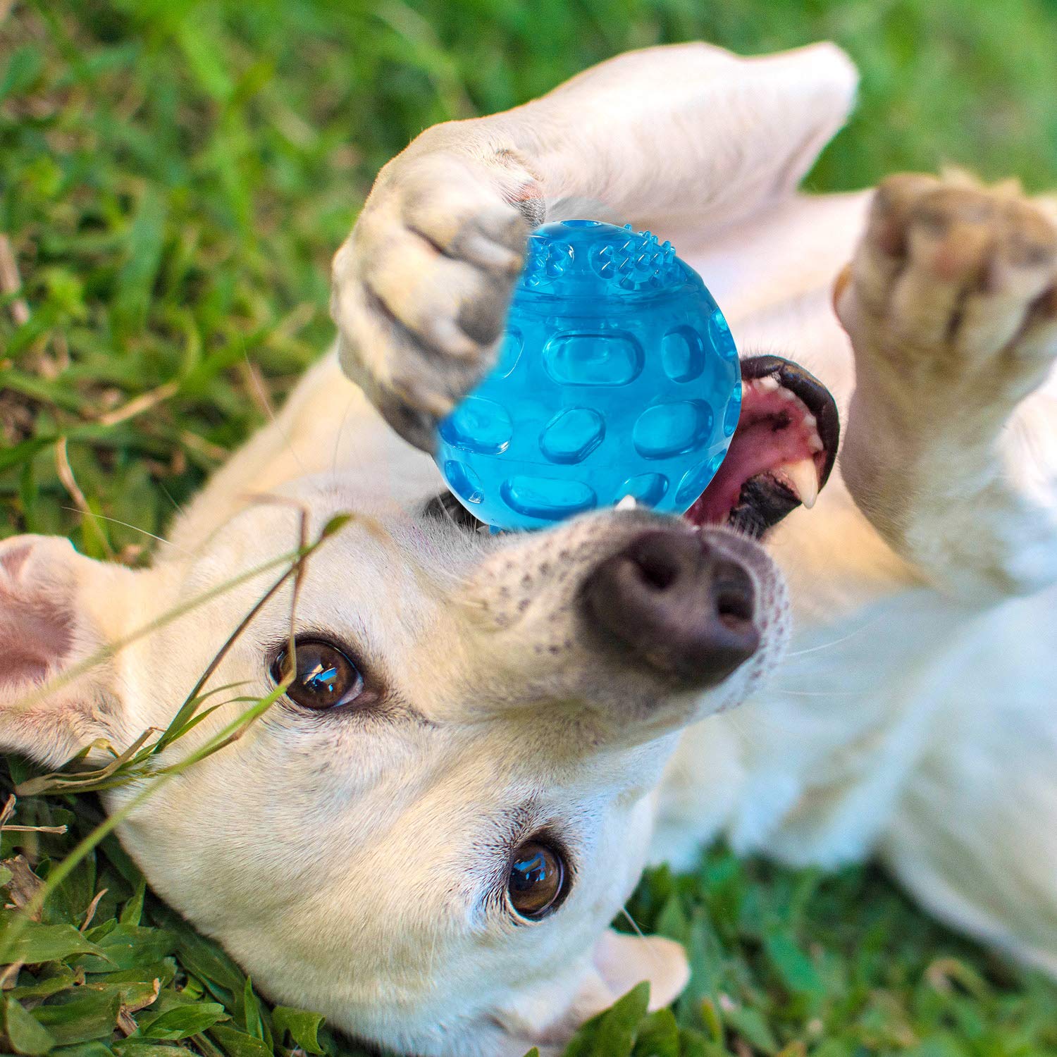 Pjdh 3 Packs Dog Balls Dog Toys, Indestructible Dog Balls For Aggressive Chewers, Balls For Medium Large Dog, Squeaky Kong Ball For Training Playing Pet Toys, 3.2Inch Dog Toy Balls, Green+Blue+Purple