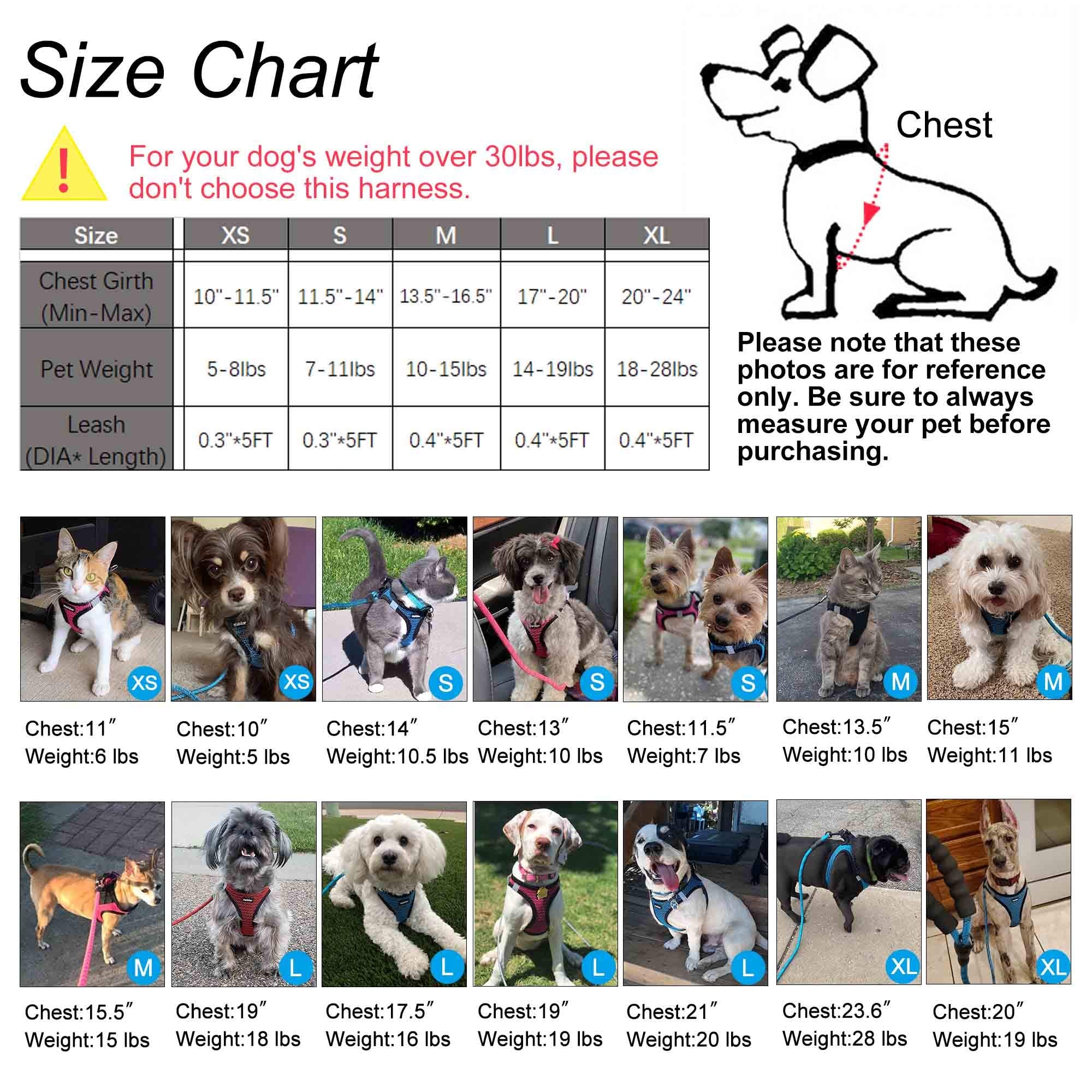 Matilor Dog Harness Step-In Breathable Puppy Cat Dog Vest Harnesses For Small Medium Dogs Black