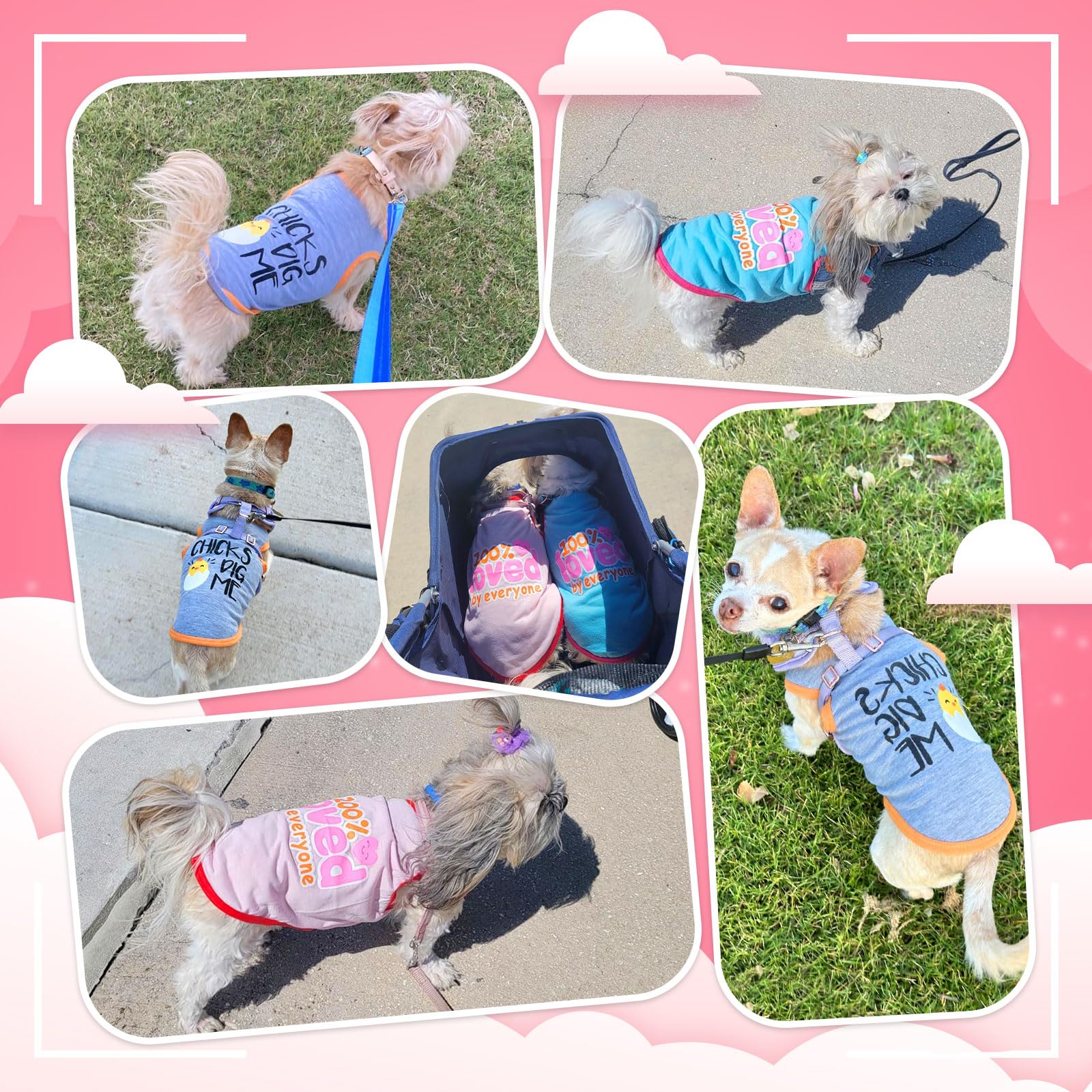 Axiijgl 4 Pack Dog Shirts For Small Dogs Lightweight Shirt Sleeveless Tshirt Small Dog Clothes Stretchy Puppy Cat Pet Clothes Fo