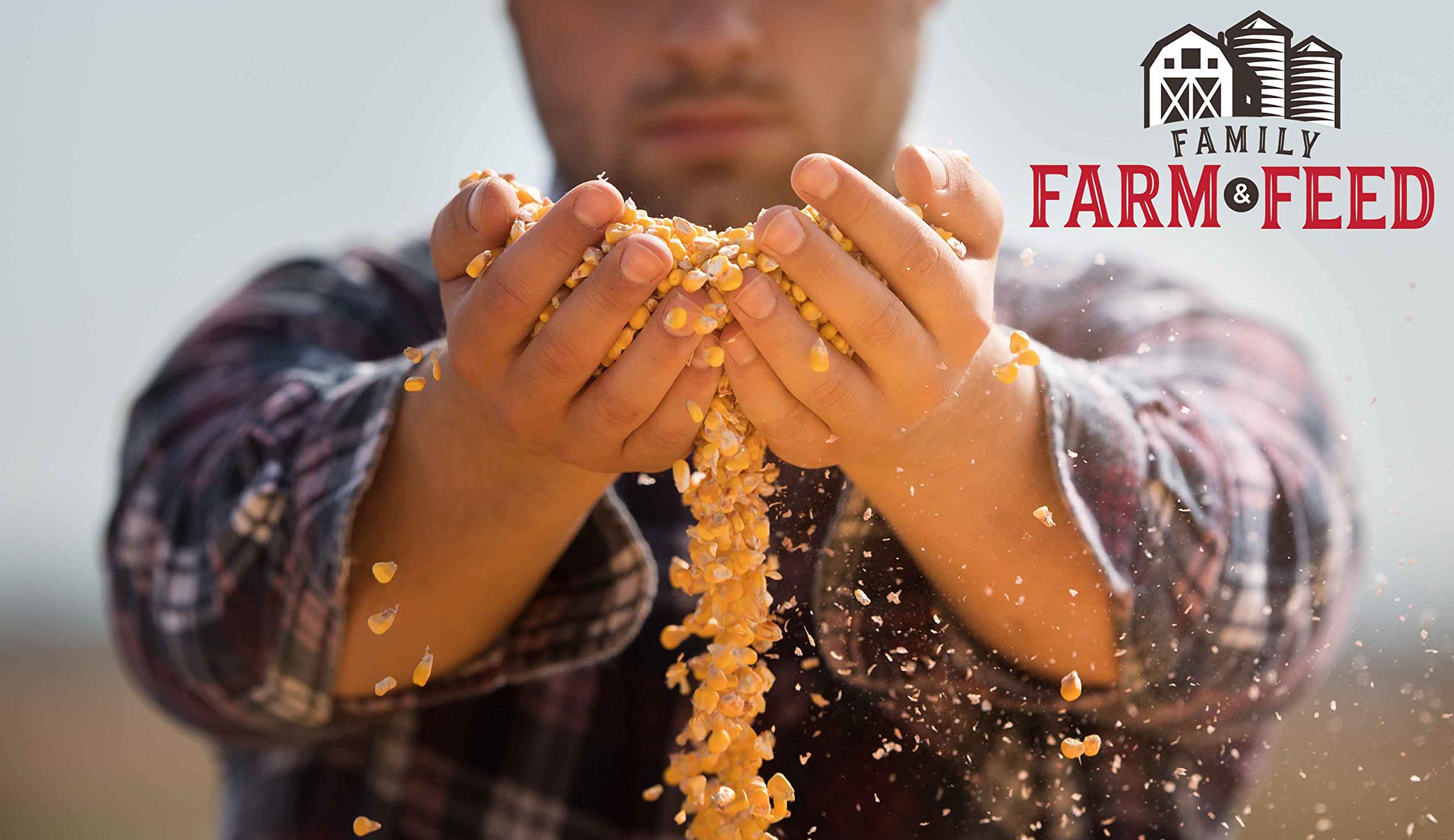 FAMILY FARM AND FEED | Four Seasons | Cracked Corn | Wild Bird Food | Backyard Songbird | 4 Pounds