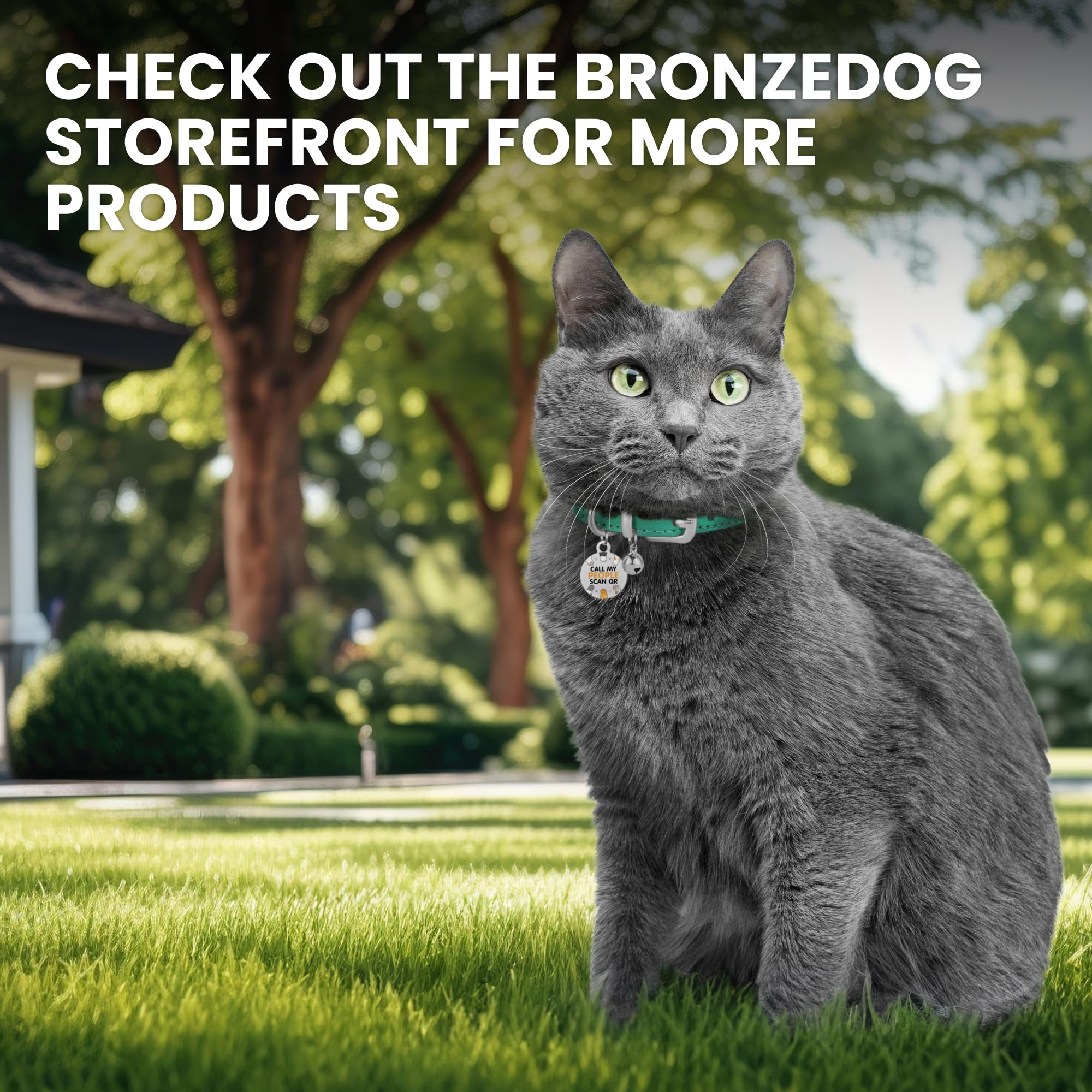 Bronzedog Leather Cat Collar With Removable Bells Non Breakaway Kitten Qr Tag For Girl Boy (7' - 9' For Cats, Blue & Silver)