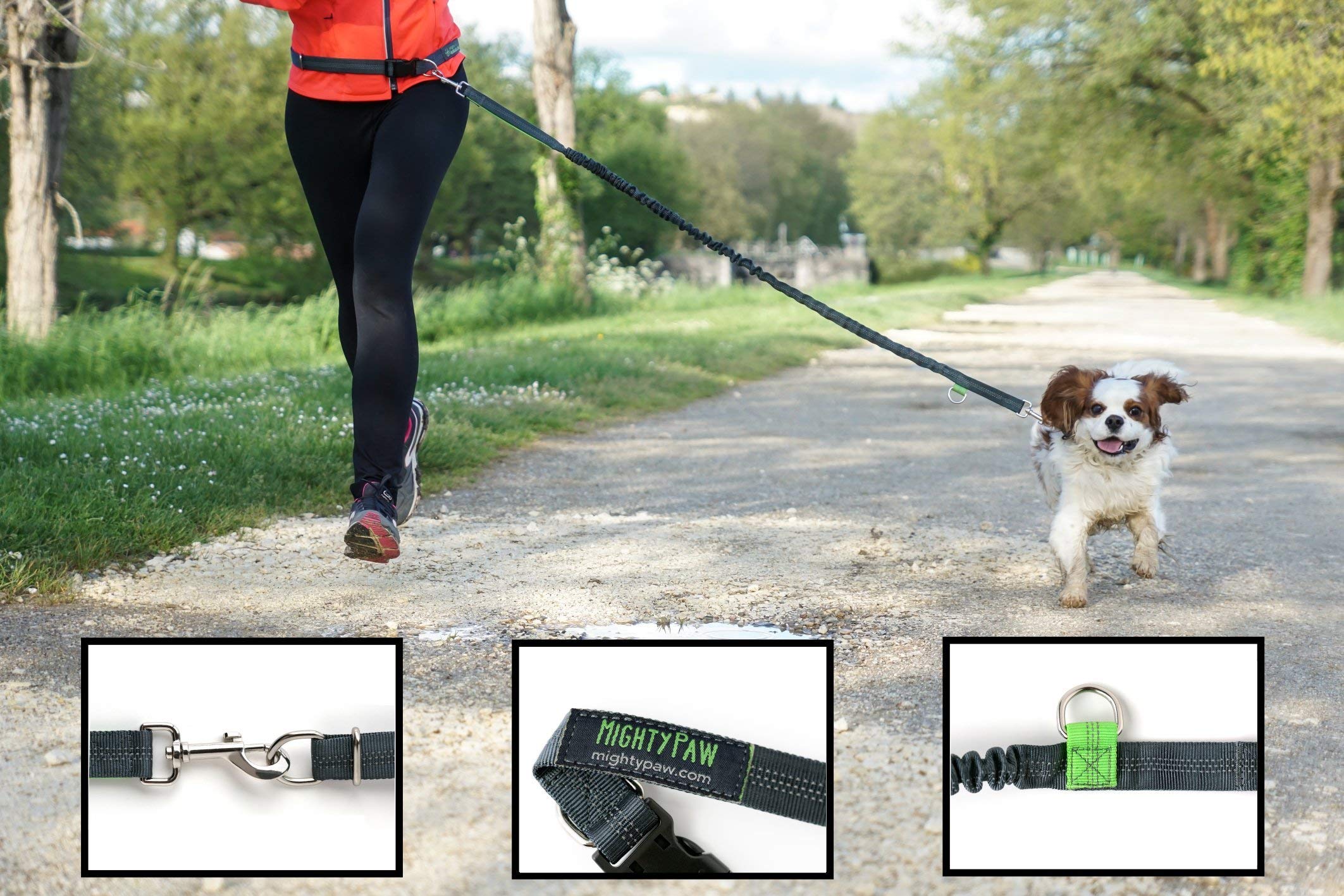 Mighty Paw Hands Free Dog Leash | Bungee Waist Leash for Dog Walking. Pet Running Hands Free Tether for Large, Medium & Small Br