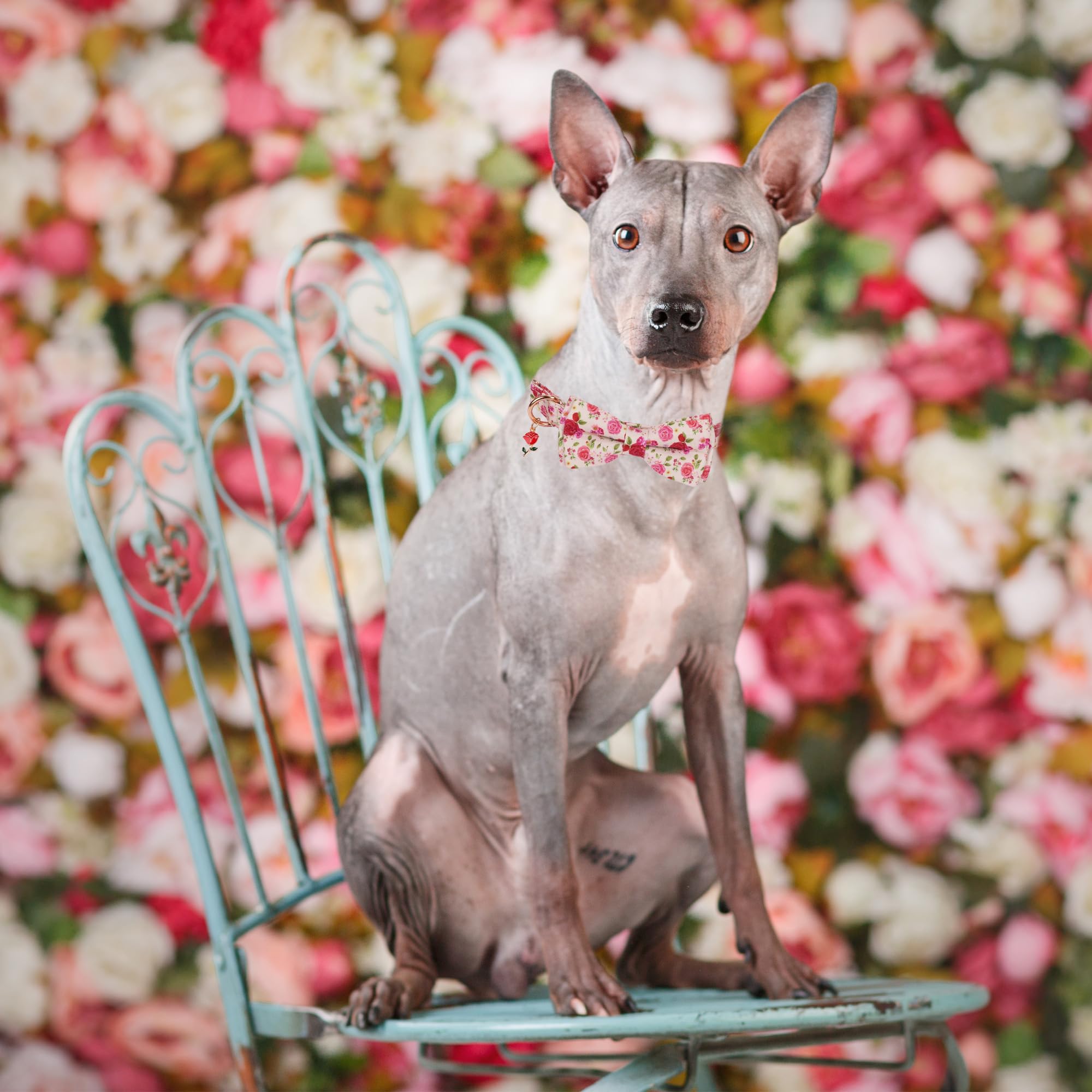 Adoggygo Floral Dog Collar With Bow, Red Pink Rose Flower Dog Bow Collar With Metal Buckle, Adjustable Pet Floral Collars For Ex