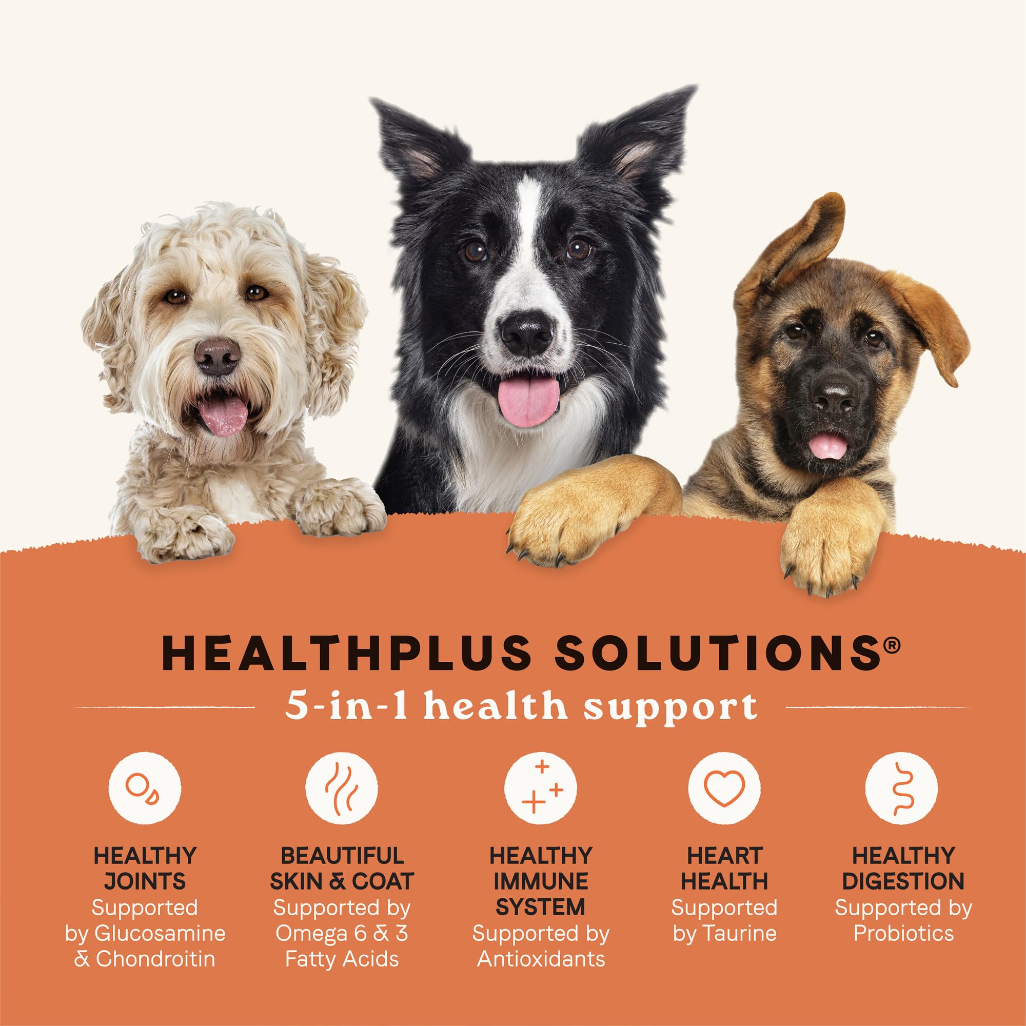 Canidae All Life Stages Real Chicken & Potato Recipe - High Protein and Grain-Free Premium Dry Dog Food for All Ages, Breeds, an