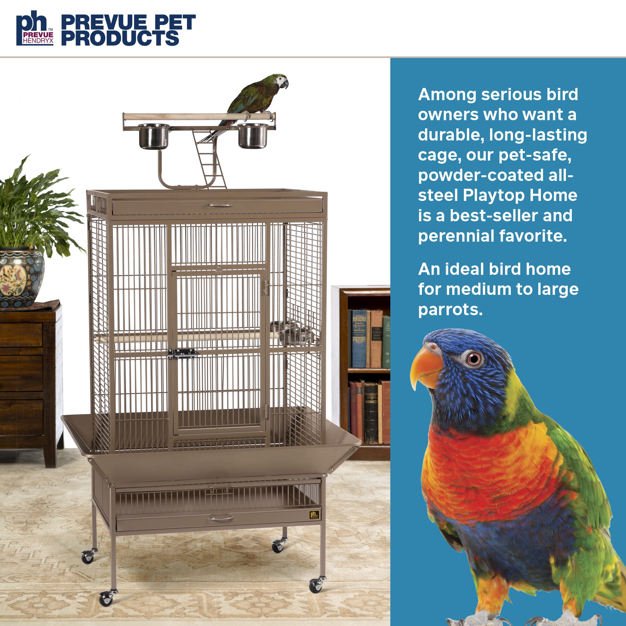 Prevue Hendryx Pet Products Wrought Iron Select Bird Cage 3153Coco, Coco Brown, 30-Inch By 22-Inch By 63-Inch