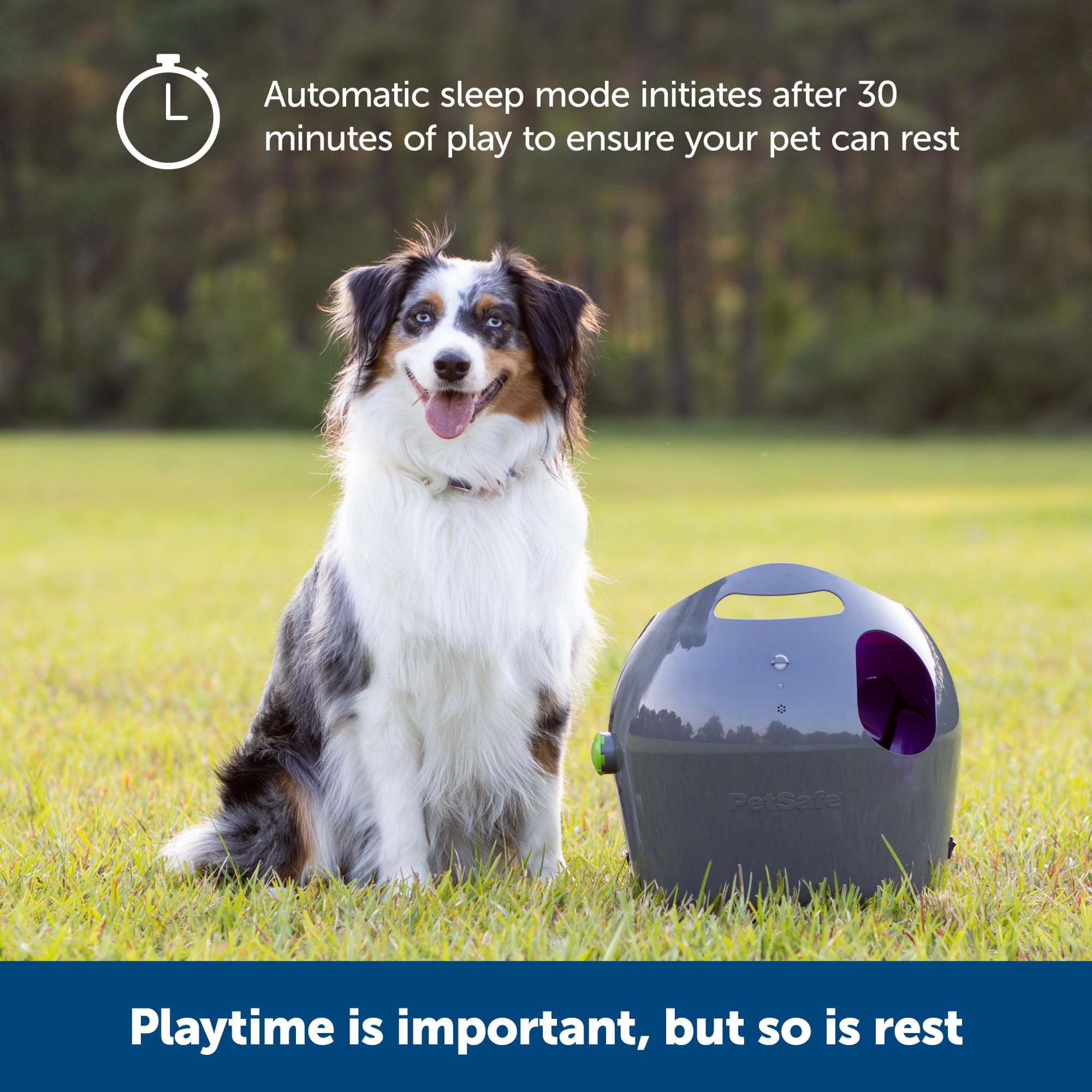 Petsafe Automatic Dog Ball Launcher All Breed Sizes