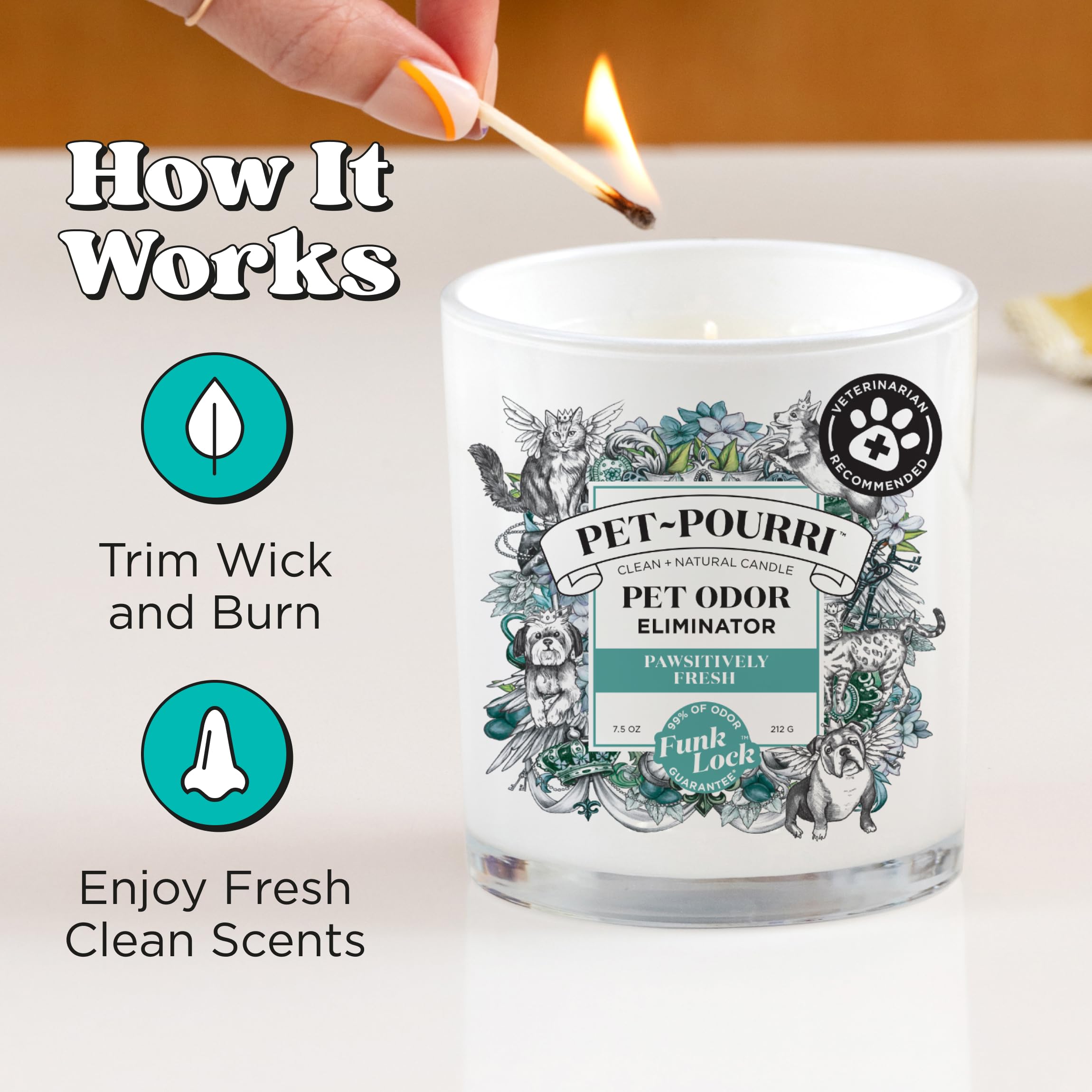 Pet-Pourri Pawsitively Fresh Pet Deodorizer Candle - Pet Safe Plant Based Ingredients & Wax - Vet Approved - Aromatherapy & Air