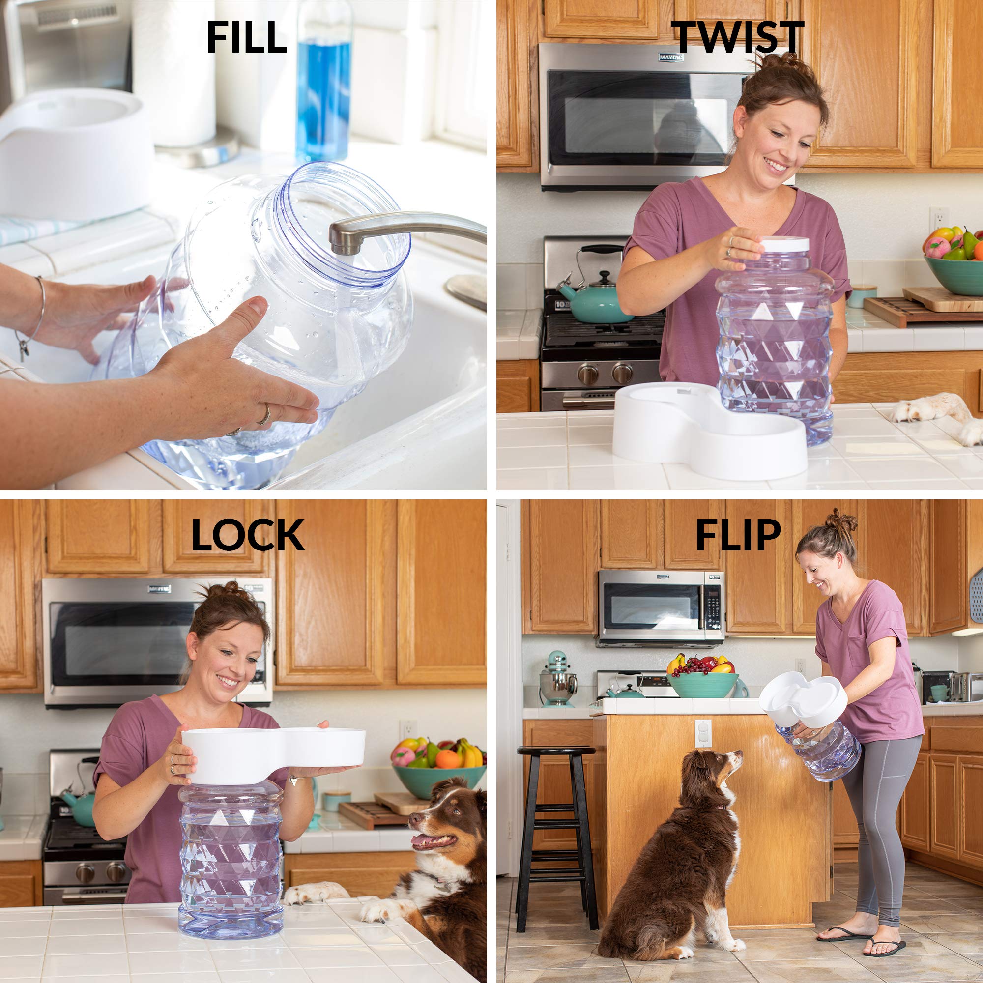 Petfusion H2O Gravity Pet Water Dispenser. Durable 2.5 Gallon Water Feeder. Automatic Water Station For Cats & Small, Medium, La