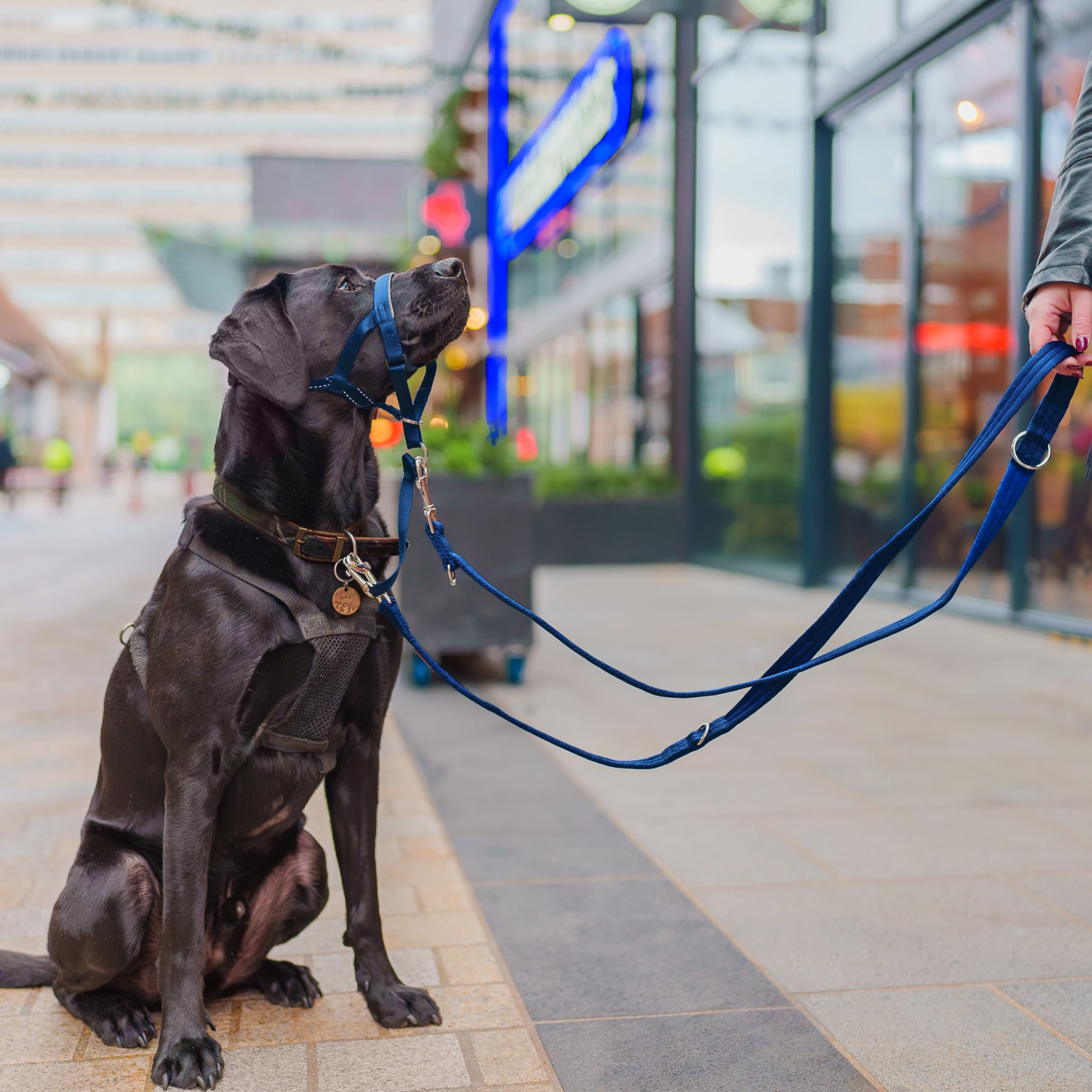 Halti Training Leash - Multifunctional Double-Ended Dog Leash, Ideal For Anti-Pulling Dog Training. Lightweight & Durable. Suita