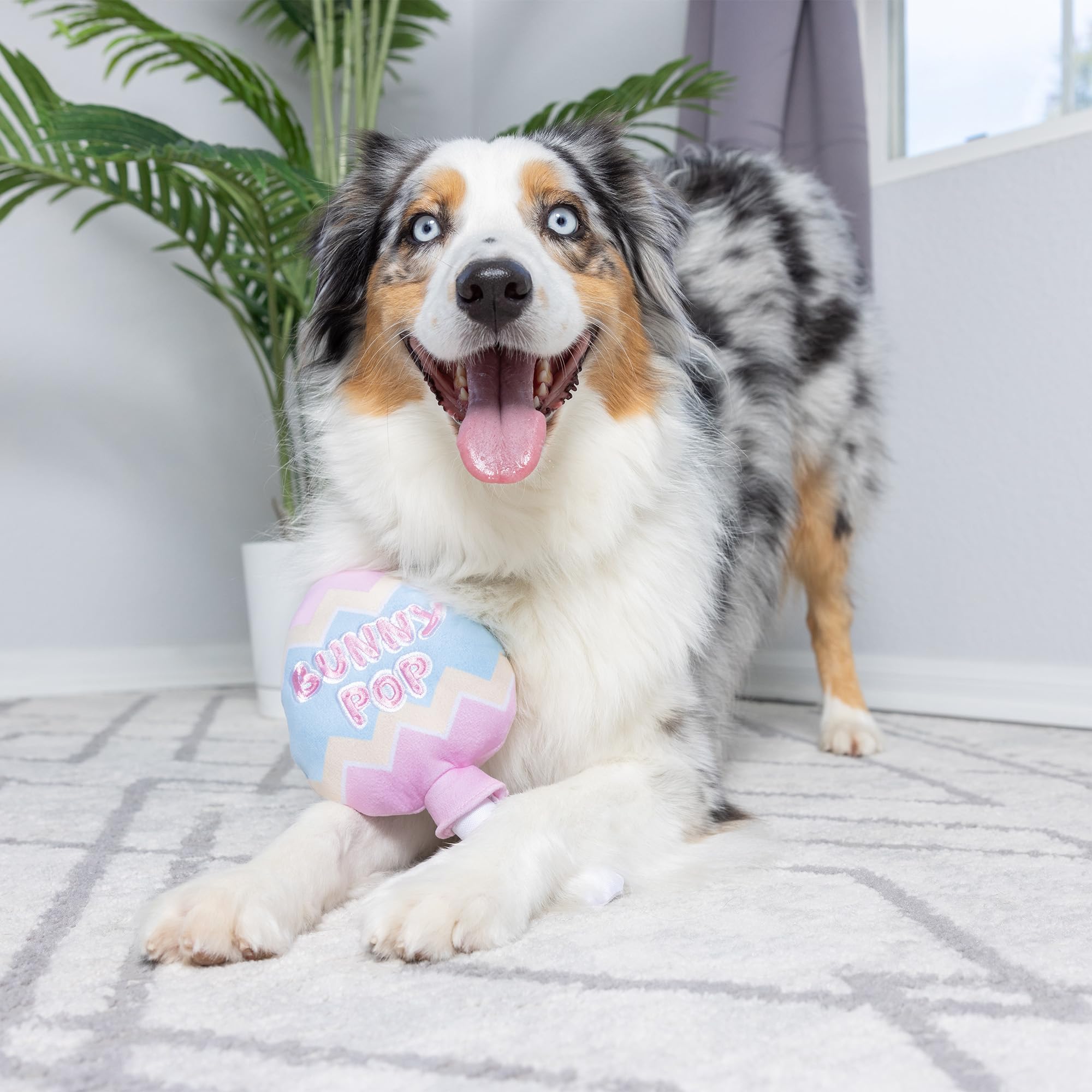 Huxley & Kent For Dogs - Bunny Pop (Small) - Easter/Spring Funny Dog Toy - Power Plush Funny Dog Toy With Squeaker - Fun, Durabl