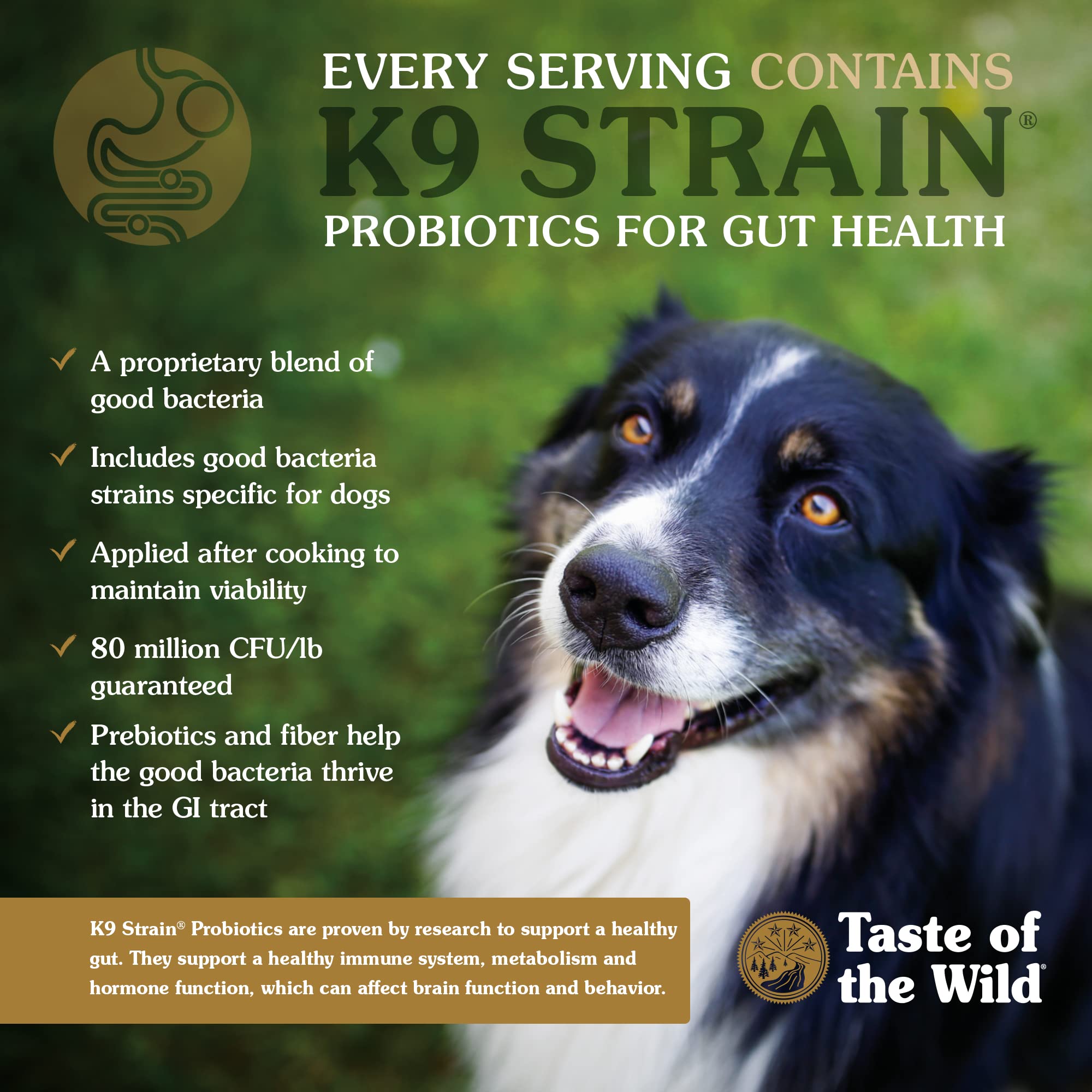 Taste of the Wild, Dry Dog Food High Prairie Canine Formula with Roasted Bison and Venison, 80 Ounce