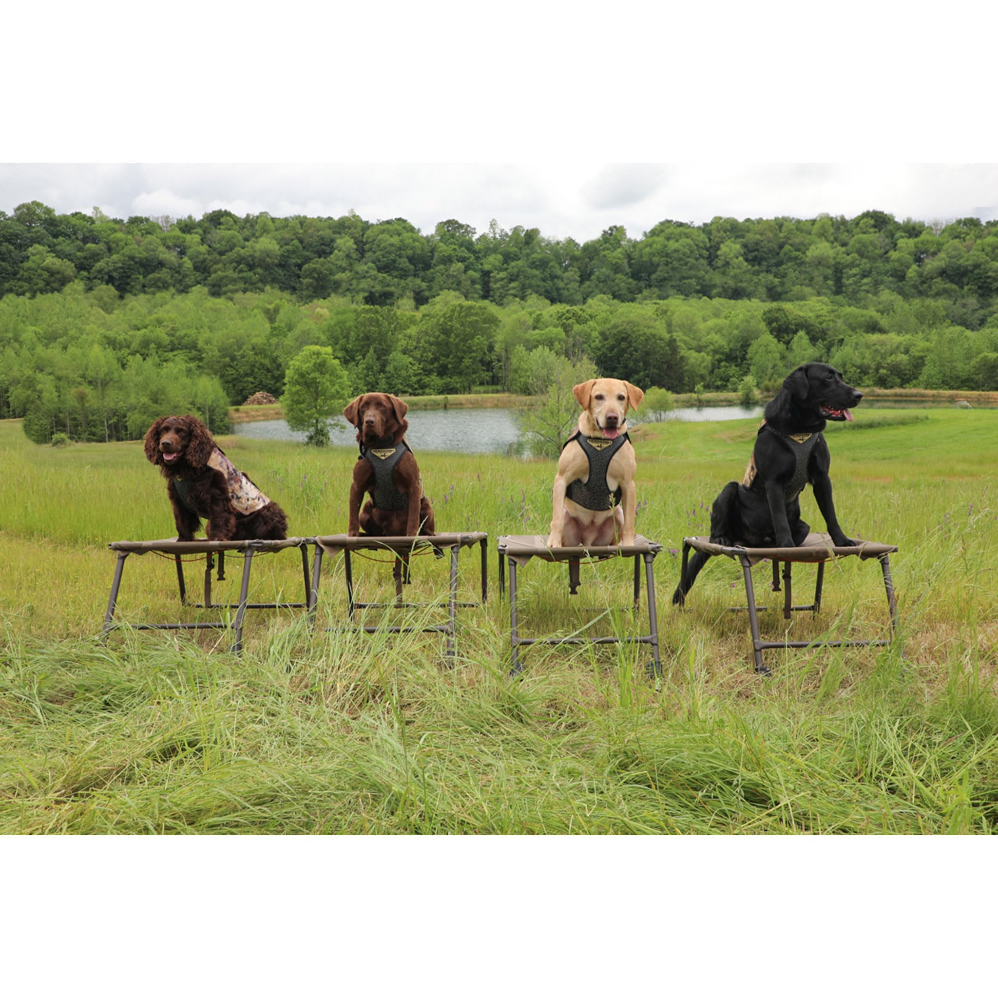 Momarsh Adjustable Dog Vest | Universal Neoprene Sporting Dog Vest For Waterfowl Hunting, & Water Training | Perfect Pet Vest Retains Heat In Cold & Wet Conditions, Optifade Marsh