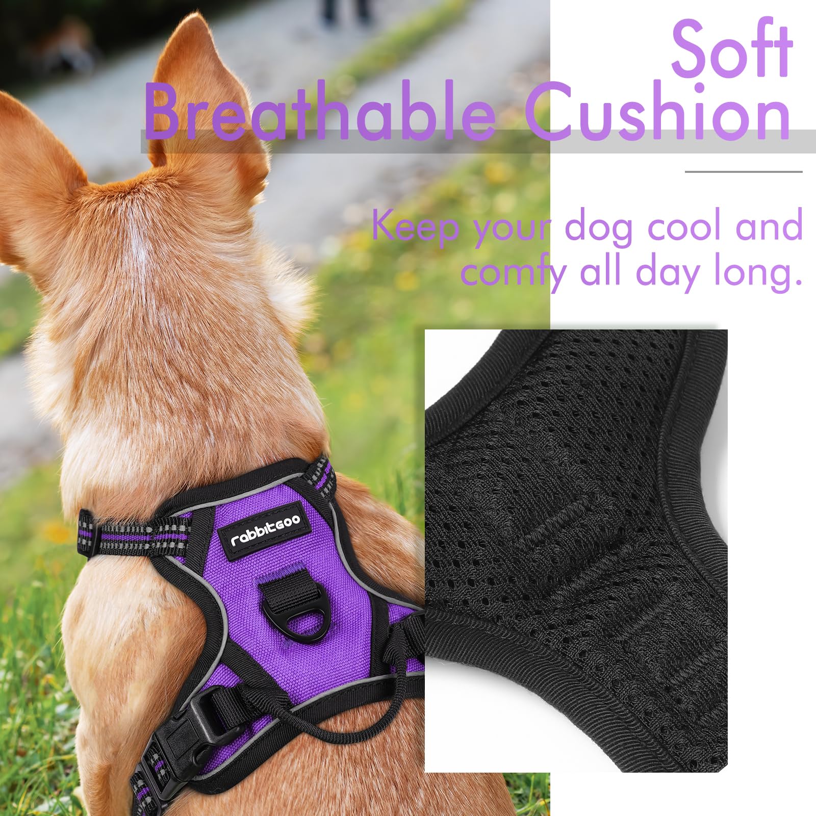 Rabbitgoo Dog Harness, No-Pull Pet Harness With 2 Leash Clips, Adjustable Soft Padded Dog Vest, Reflective No-Choke Pet Oxford Vest With Easy Control Handle For Small Dogs, Purple,Xs