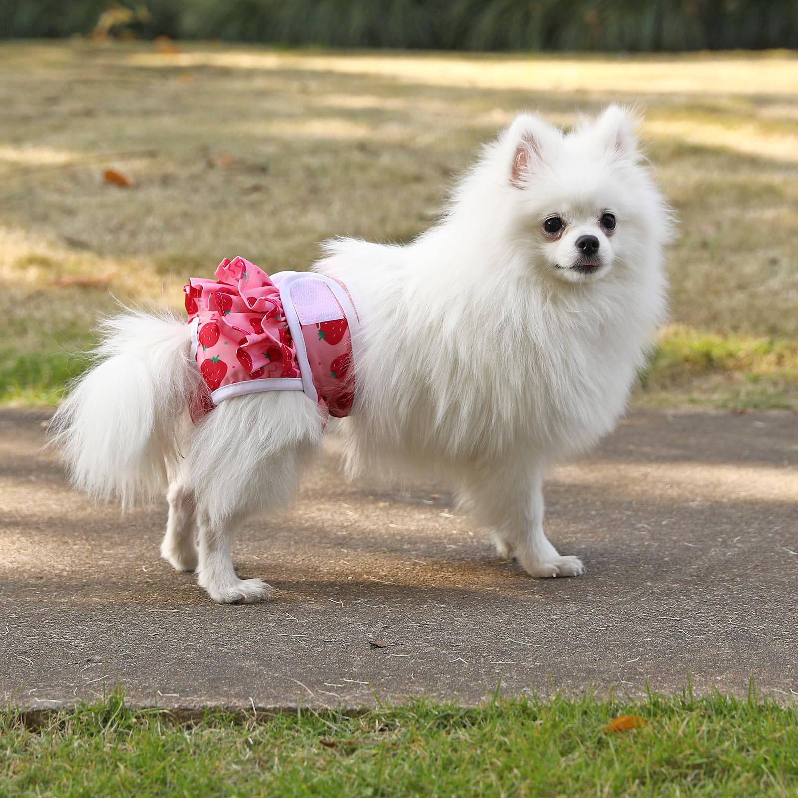 Mengelina Reusable Dog Diapers Washable (3 Pack), Puppy Diapers Highly Absorbent For Heat & Urination Issues, Xs