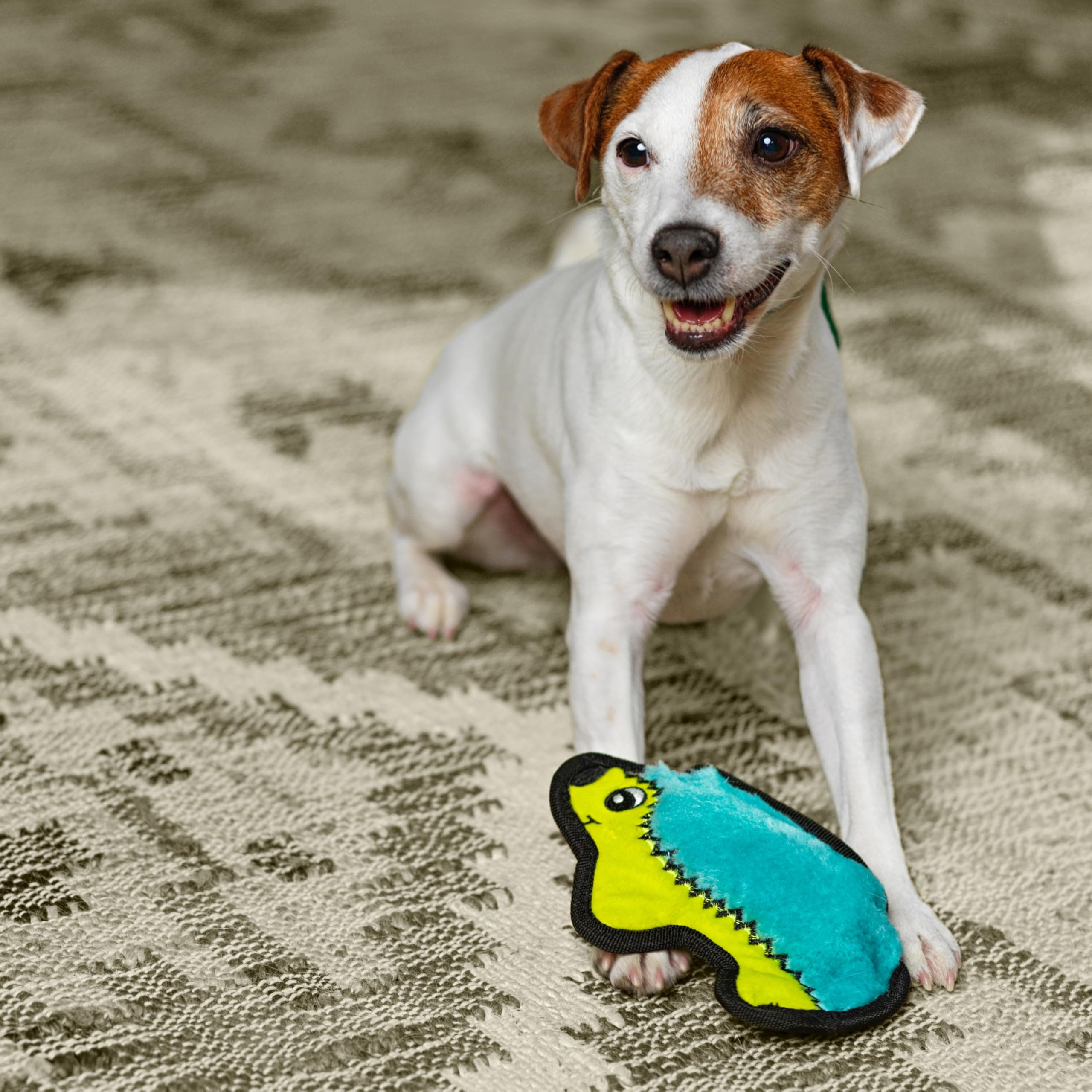 Outward Hound Durablez Tough Plush Squeaky Dog Toy, Hedgehog, Turquoise, Xs
