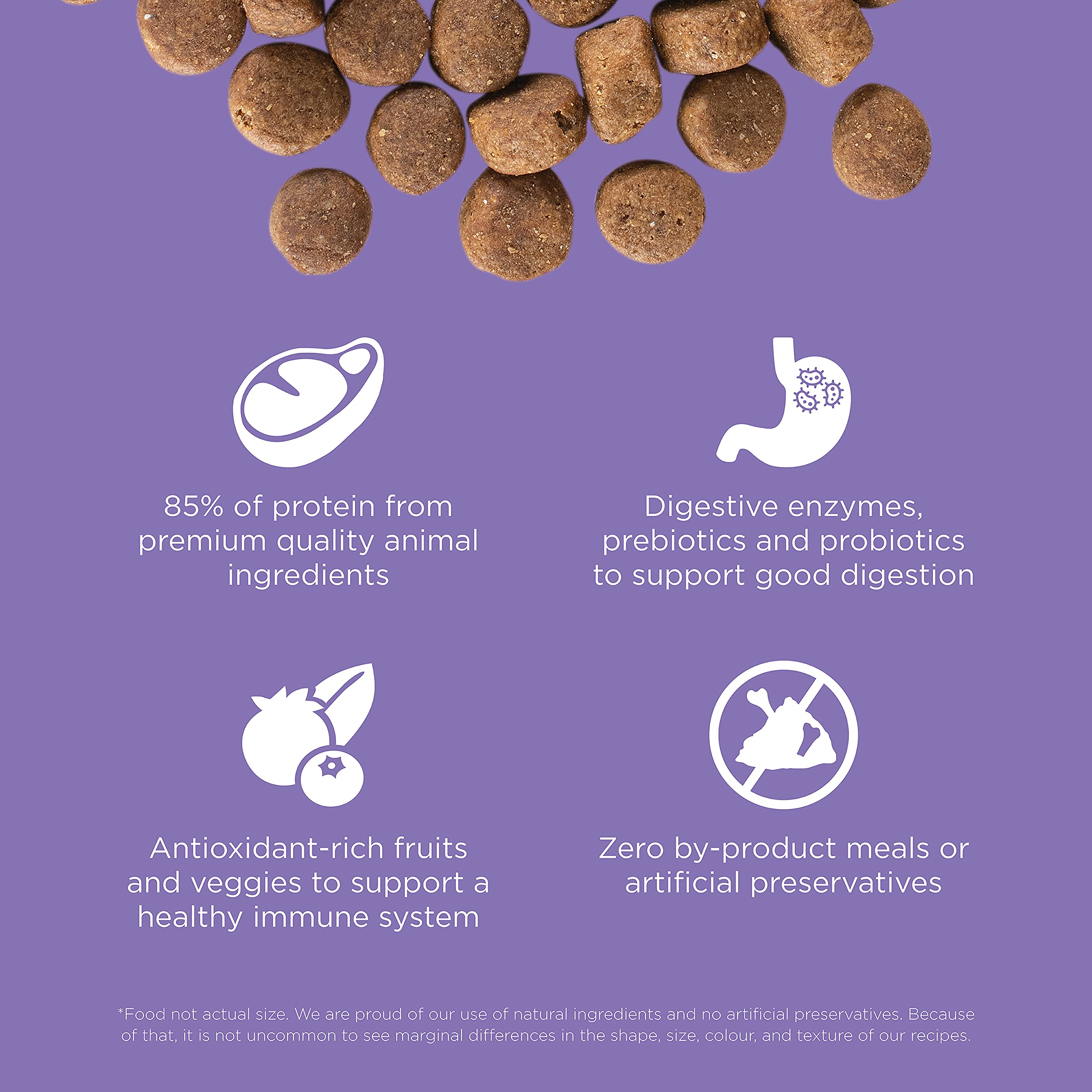 GO! SOLUTIONS Carnivore Grain Free Dog Food for Senior Dogs, 3.5 lb - Chicken, Turkey + Duck Recipe - Protein Rich Dry Dog Food