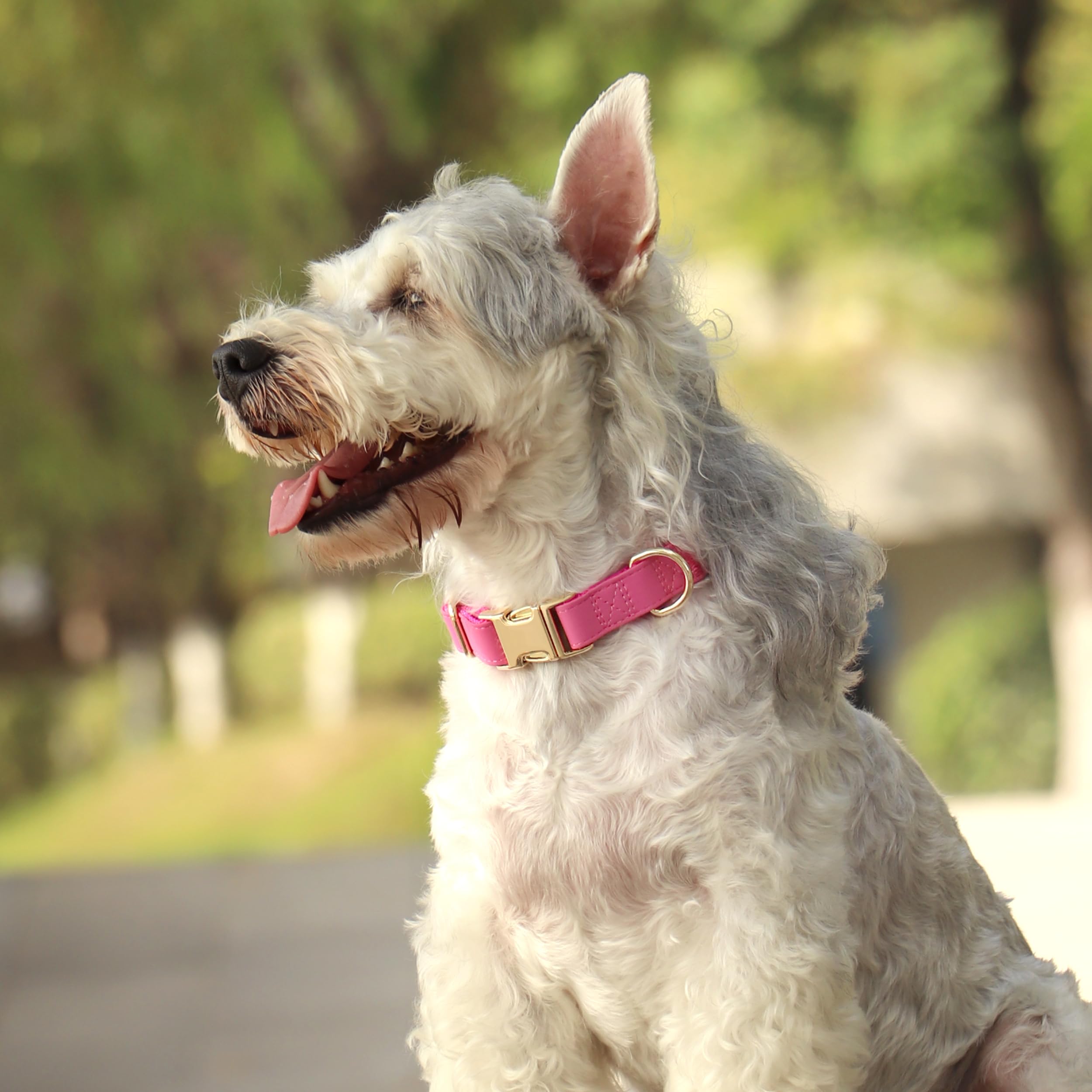 PET ARTIST Soft Leather Dog Collar, Bright & Stylish Hot Pink Dog Collar Girl, Durable & Heavy Duty Nylon Pet Collar with Quick