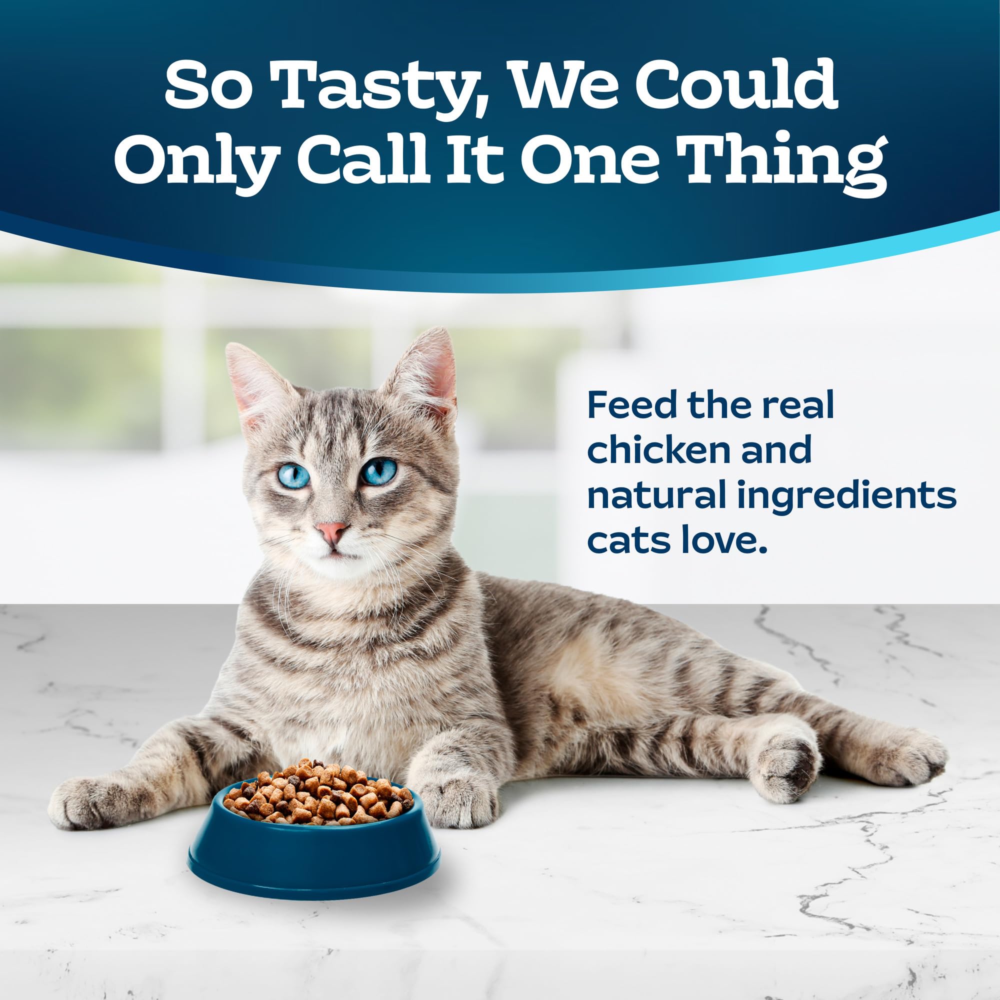 Blue Buffalo Tastefuls Weight Control Natural Adult Dry Cat Food, Chicken 3lb bag