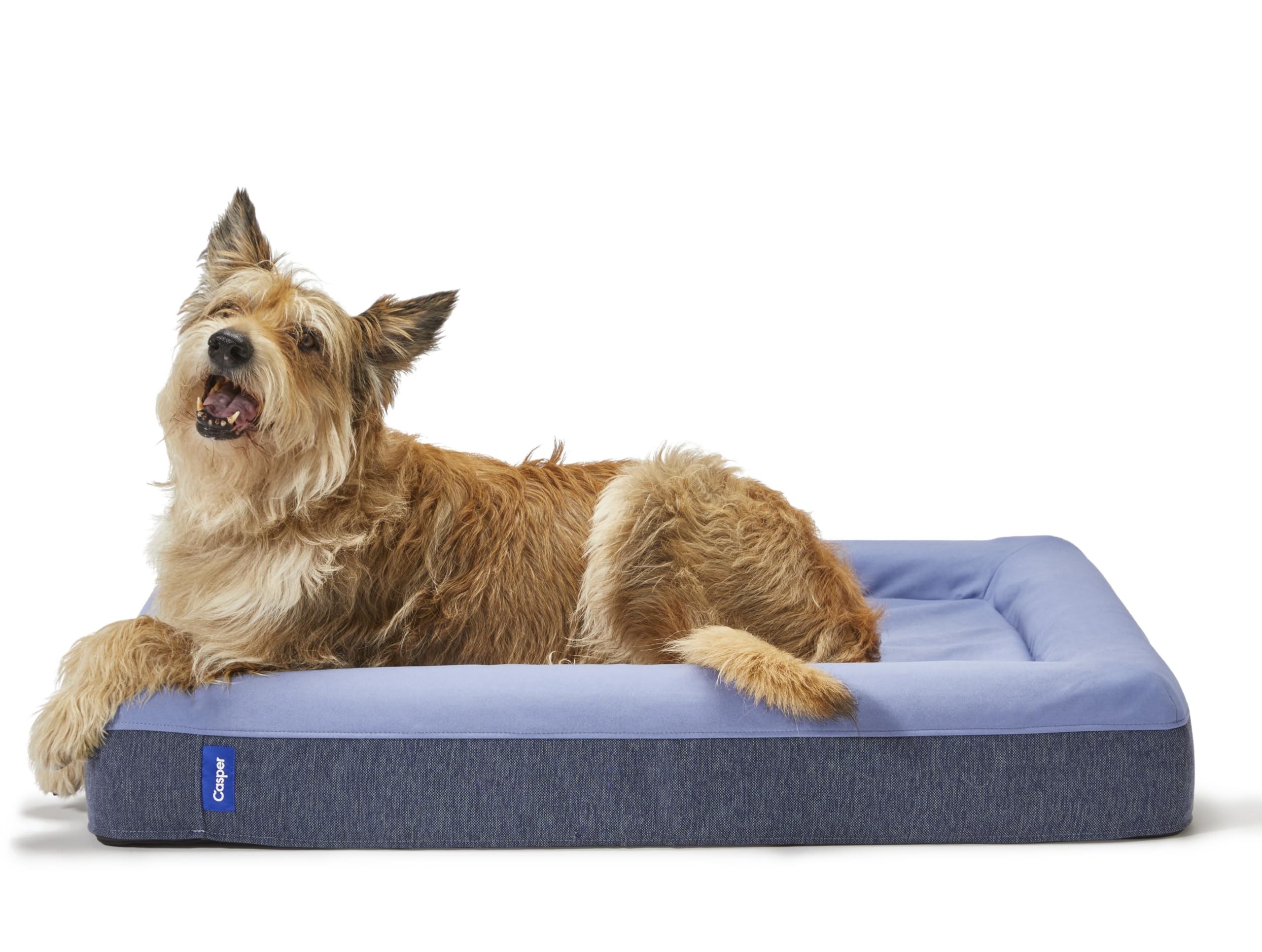 Casper Dog Bed, Plush Memory Foam, Large, Blue, 35.0''L X 45.0''W X 7.0''Th