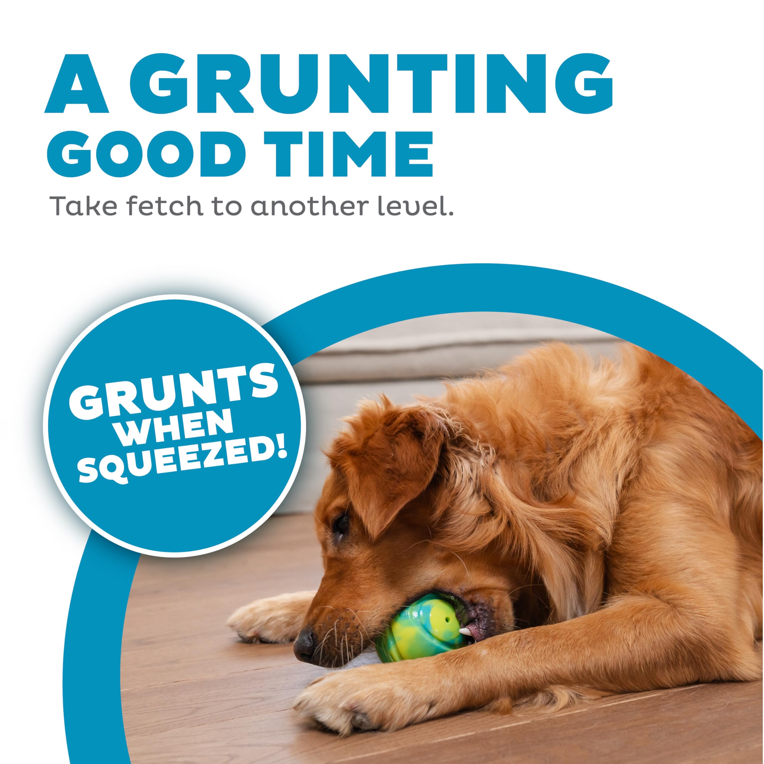 Outward Hound Grunt N Punt Tennis Ball - Fetch Ball Dog Toy, Multi