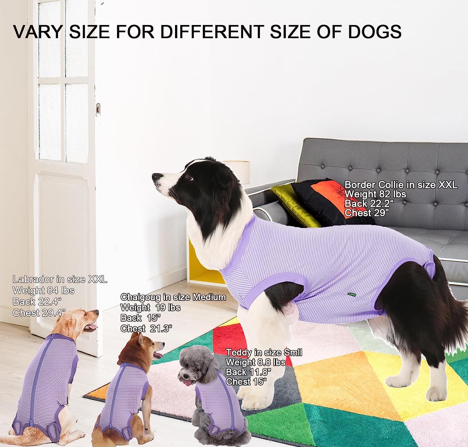 Sychien Dog Recovery Suit Purple Female Spay Surgical Small Shirt, Male Surgery Recovery Suit,Purple-White Striped S