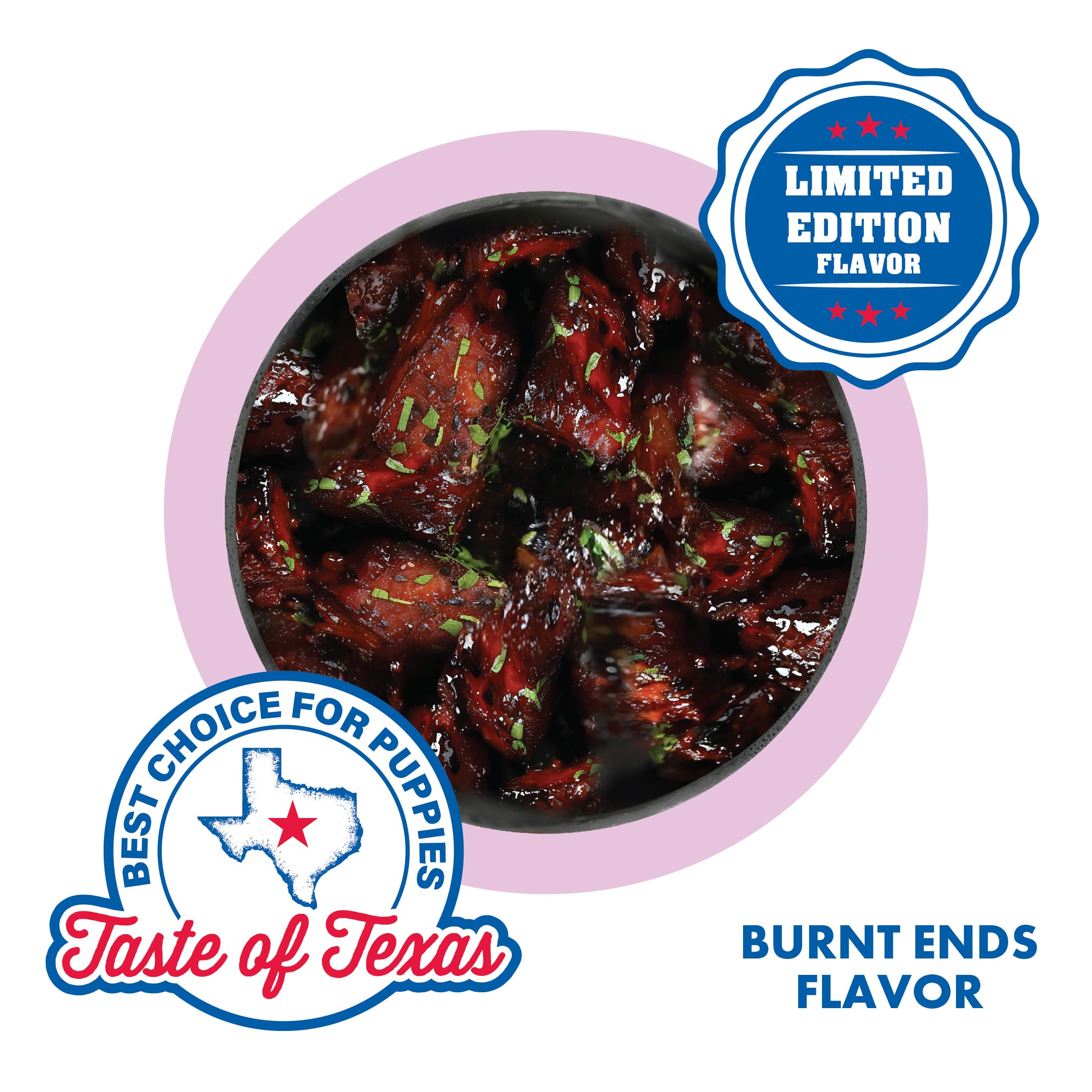 N-Bone Puppy Teething Rings Taste Of Texas Burnt Ends Flavor 3 Count