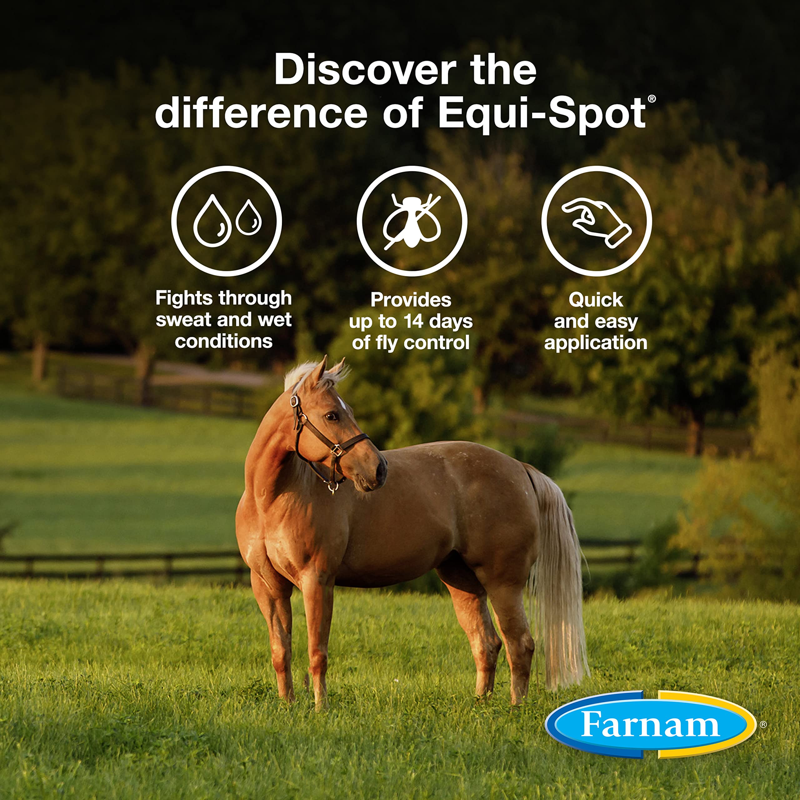 Farnam Equi-Spot, Horse Fly Control, Long-lasting Protection, 6 Applications, 12-Week Supply for One Horse