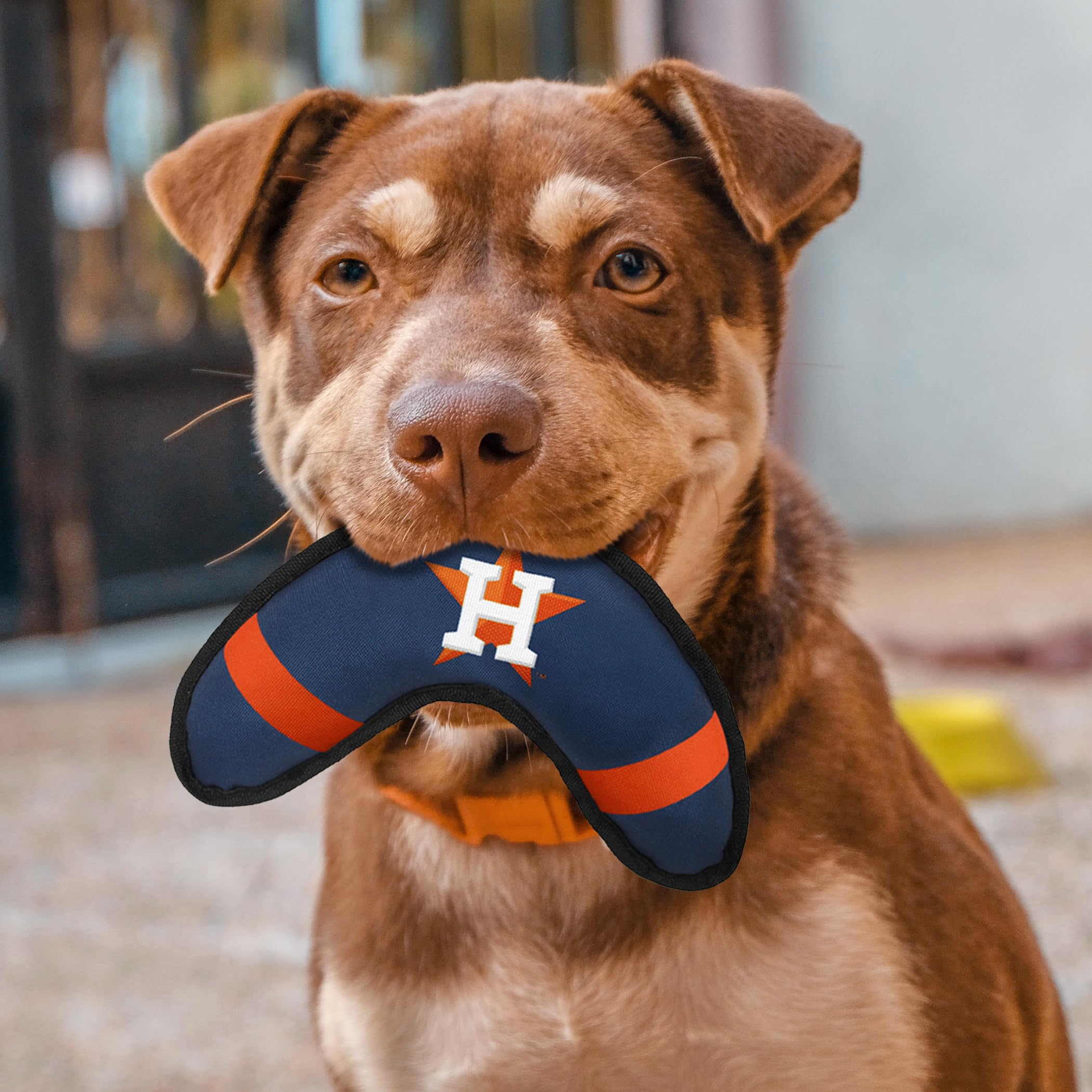 Pets First Mlb Houston Astros Boomerang Tough Nylon Toy For Dogs & Cats With Inner Squeaker.