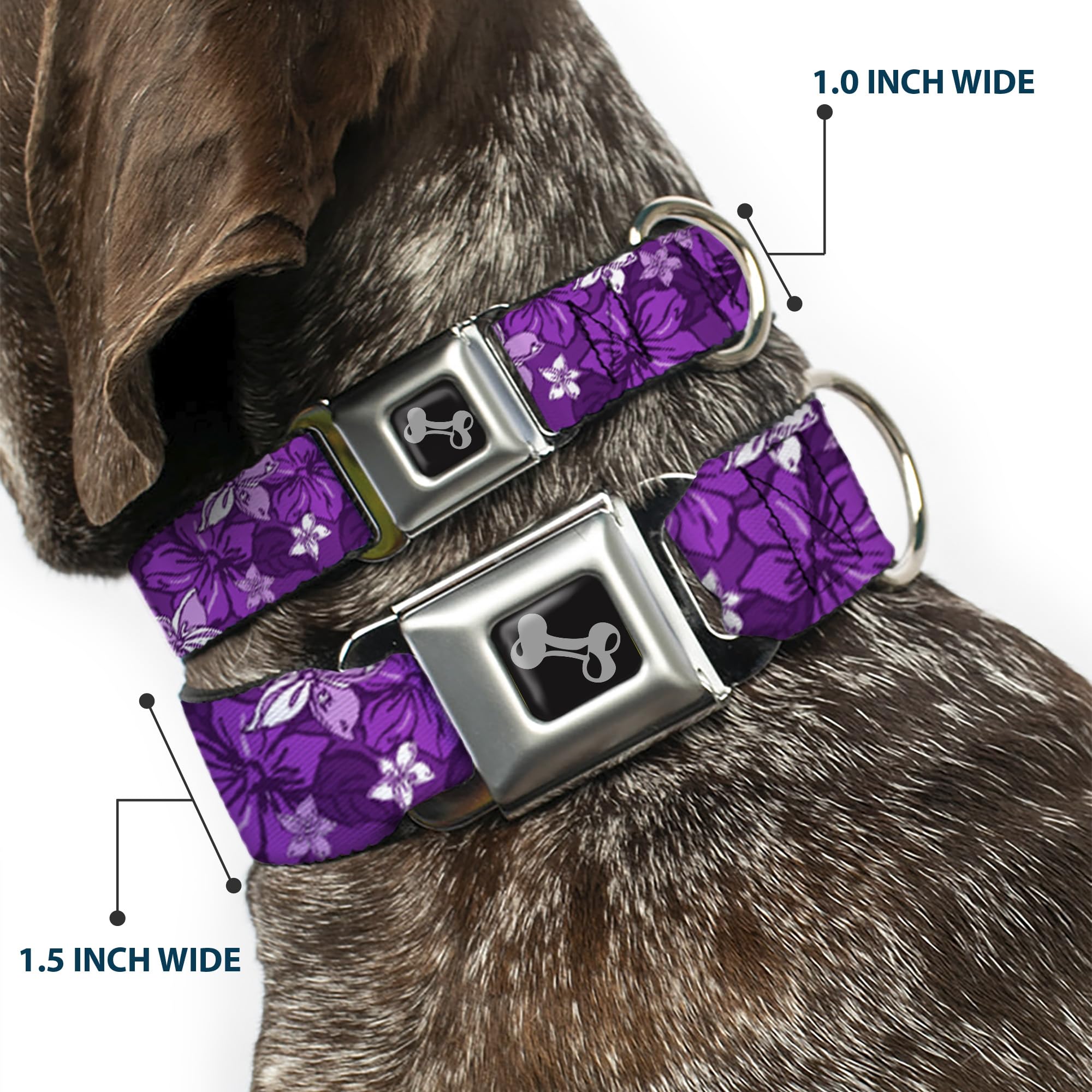 Buckle-Down Dog Collar Seatbelt Buckle Hibiscus Collage Purple Shades 11 To 17 Inches 1.0 Inch Wide