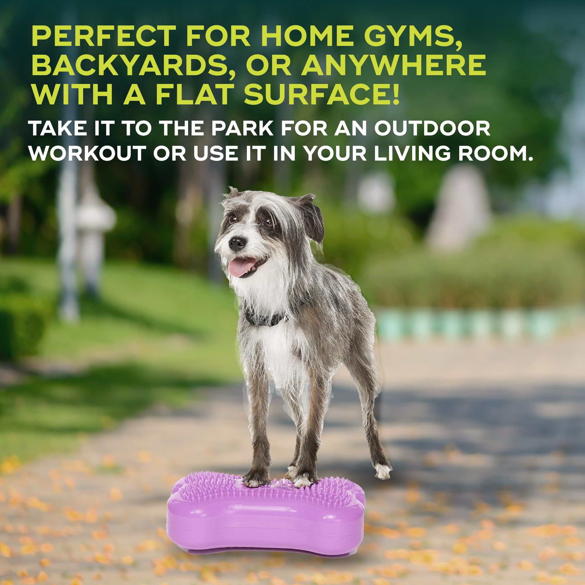 Fitpaws?K9Fitbone?- Mini, Razzleberry (Set Of 2) | Dog Balance Training Platform & Exercise Equipment | Workout Tool For Strength, Core & Stability