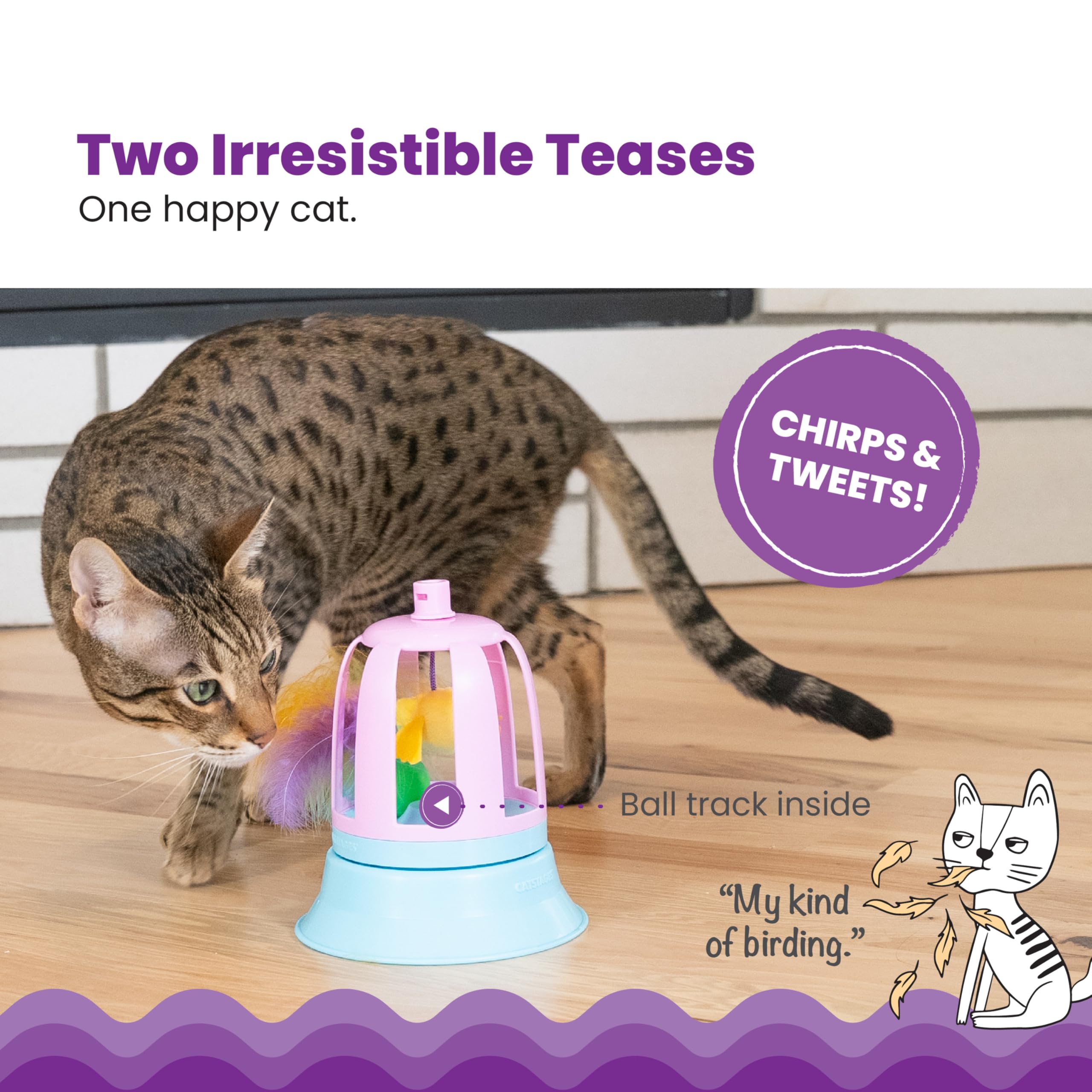 Catstages 2-in-1 Chirping Bird Toy and Cat Track Topper with Inner Ball Track, Purple
