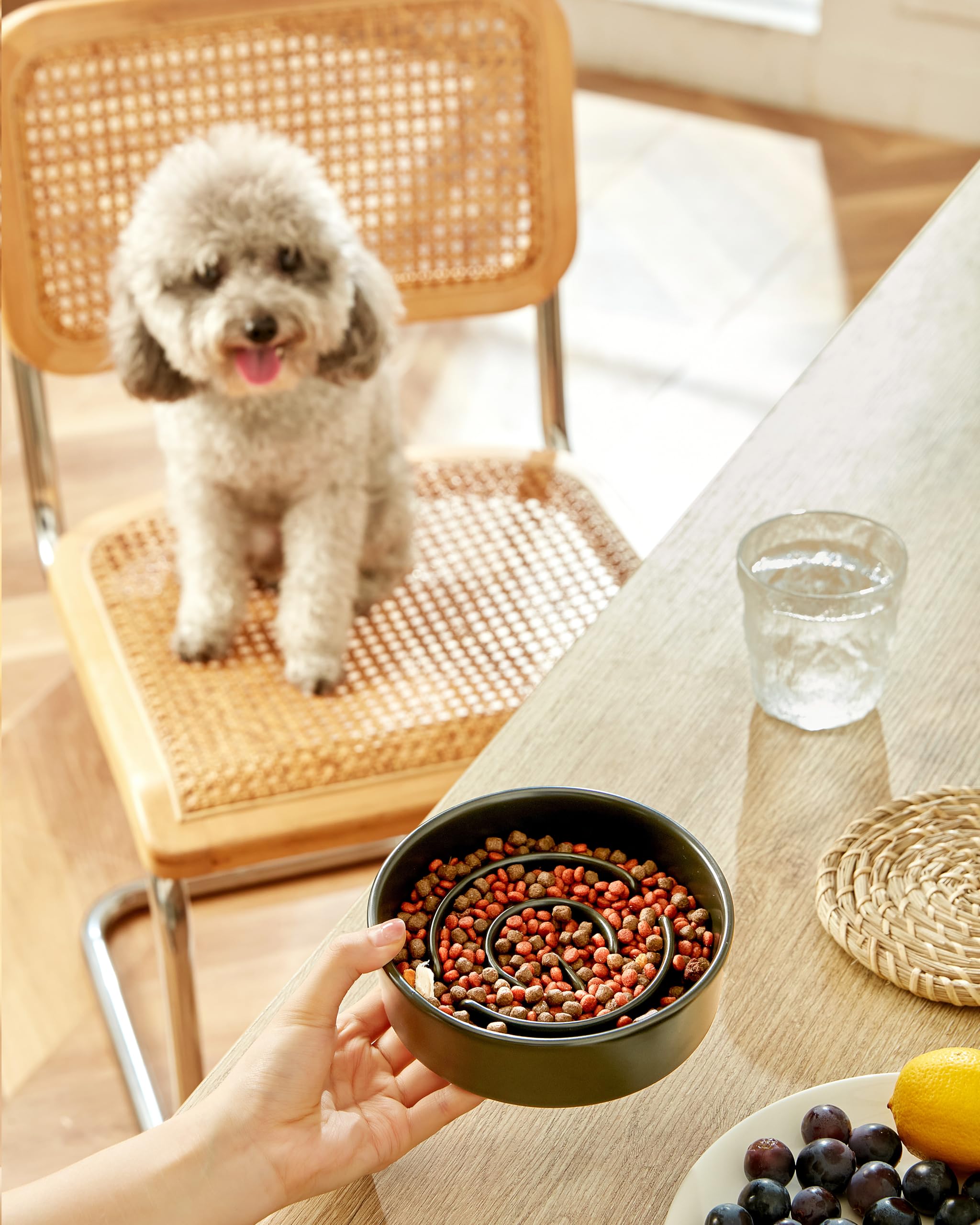 Mopang Ceramic Slow Feeder Dog Bowls, 0.6 Cup Slow Feeder For Small Dogs And Cats, Puzzle Maze Bowl, Prevents Choking, 6In, Blac