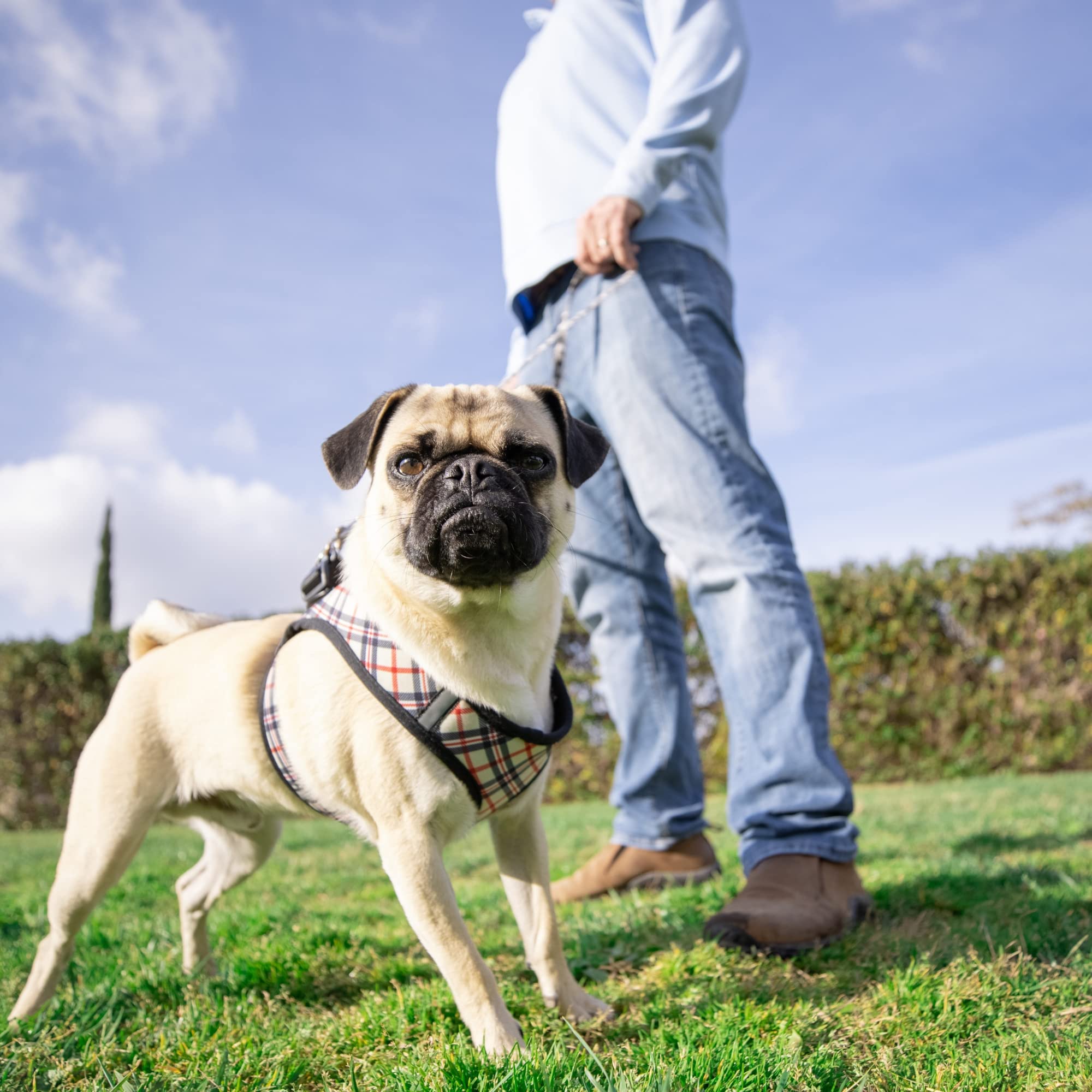 Huxley & Kent Hudson Walking & Training Harness - High Street Plaid (Medium, 15-22Lbs) - Easy Control Step-In Mesh Vest Harness