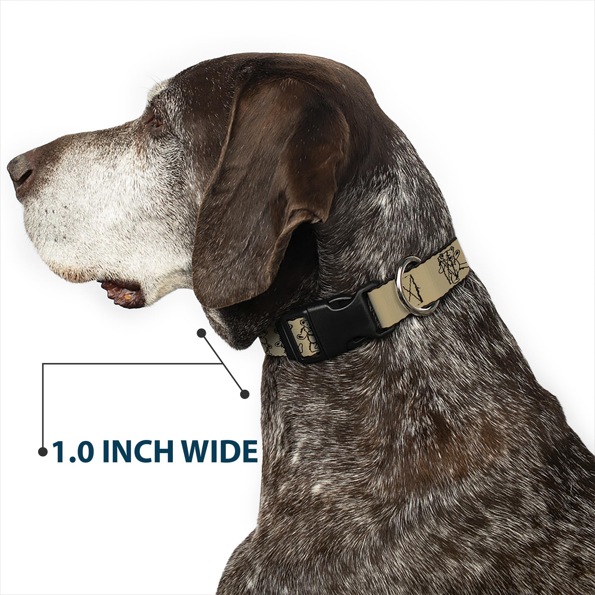 Buckle-Down Dog Collar Plastic Clip Dancing Bears Tan Black 18 to 32 Inches 1.5 Inch Wide, Multicolor, PC-WGD003-WL, 1.5 Wide -