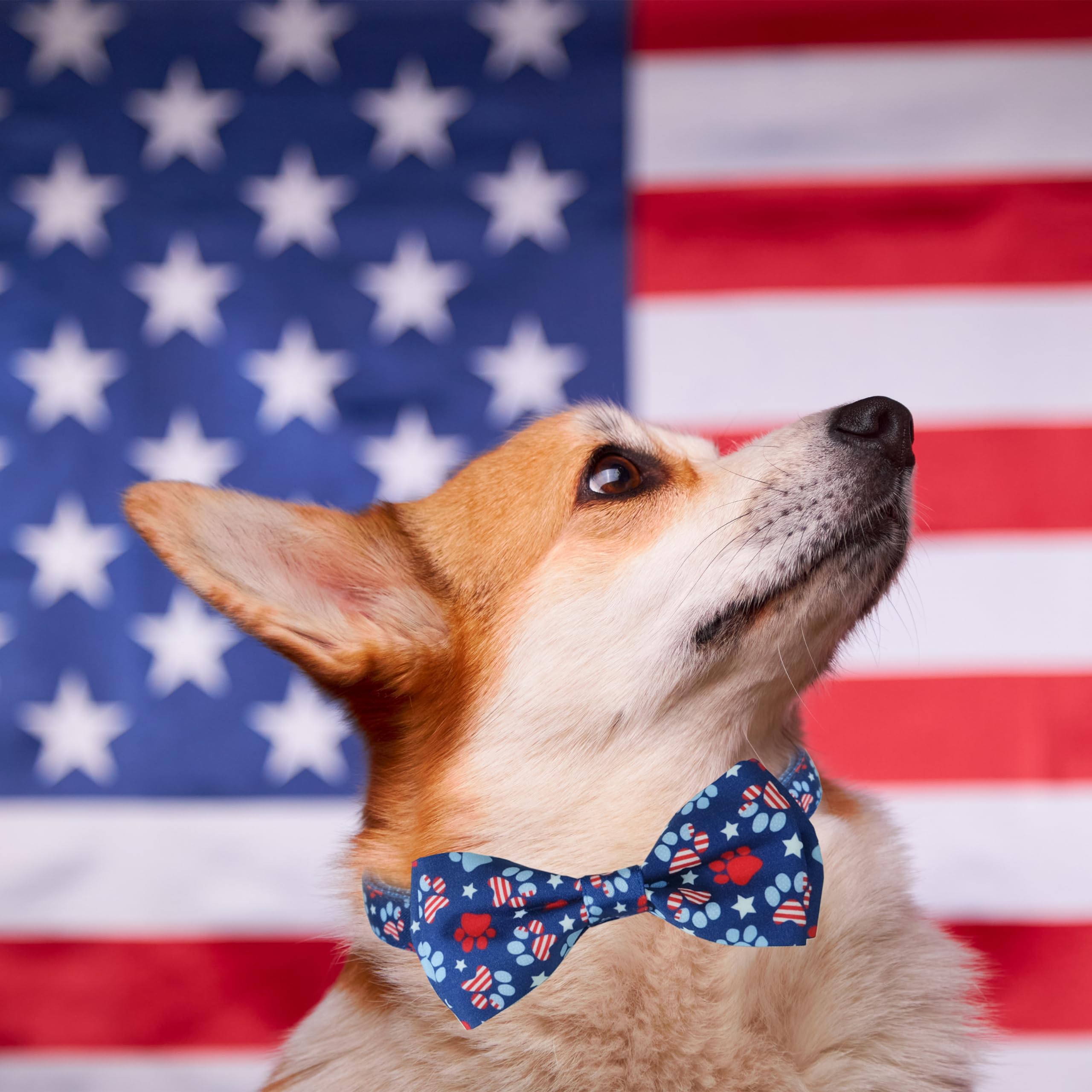 4Th Of July Dog Bow Tie Collar, 2 Pack Holiday Independence Day Patriotic Paws American Stars Collar For Large Medium Small Dogs