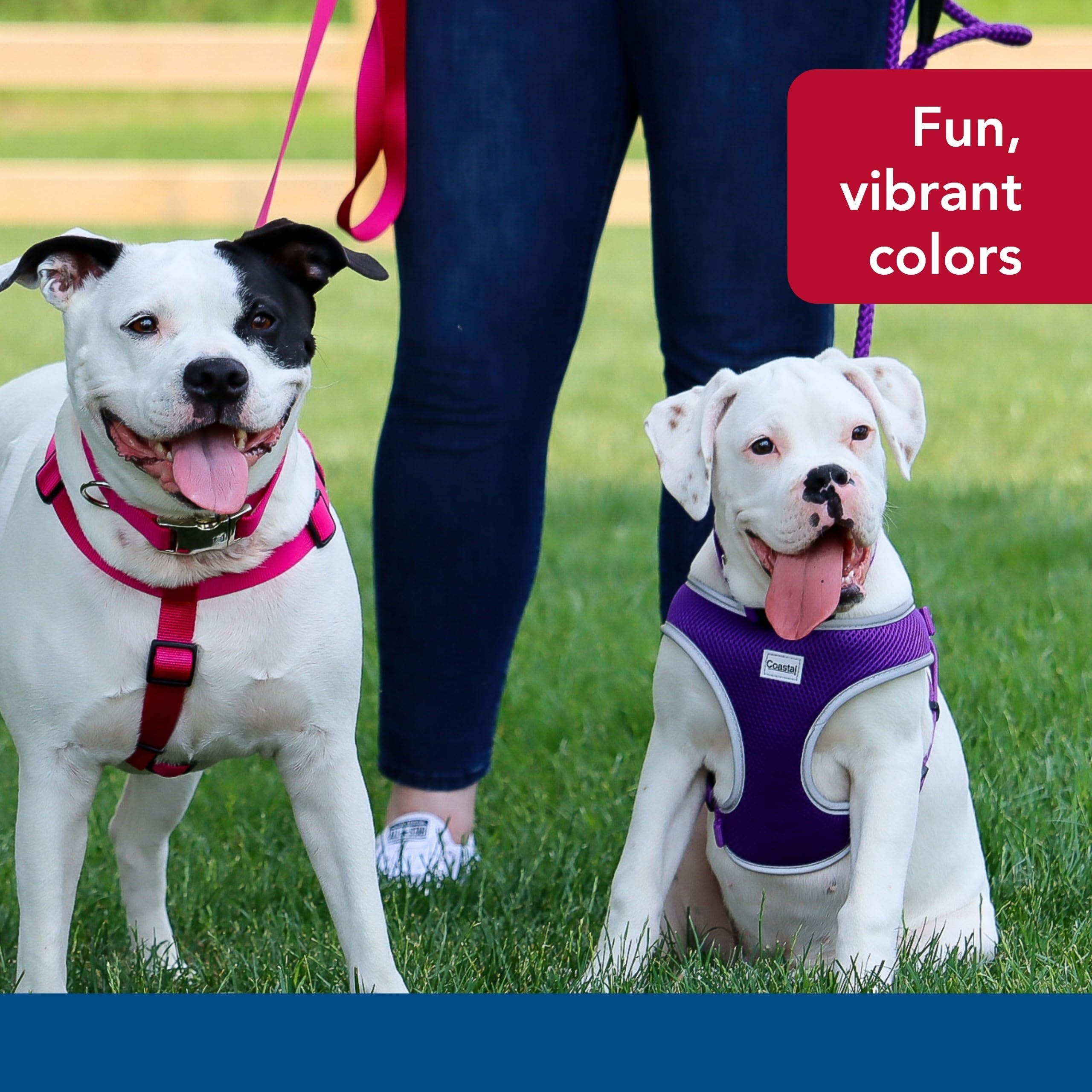 Coastal Pet Comfort Soft Reflective Wrap Adjustable Dog Harness - No-Pull Dog Harness For Small & Large Dogs - Purple - 5/8' X 19'–23'