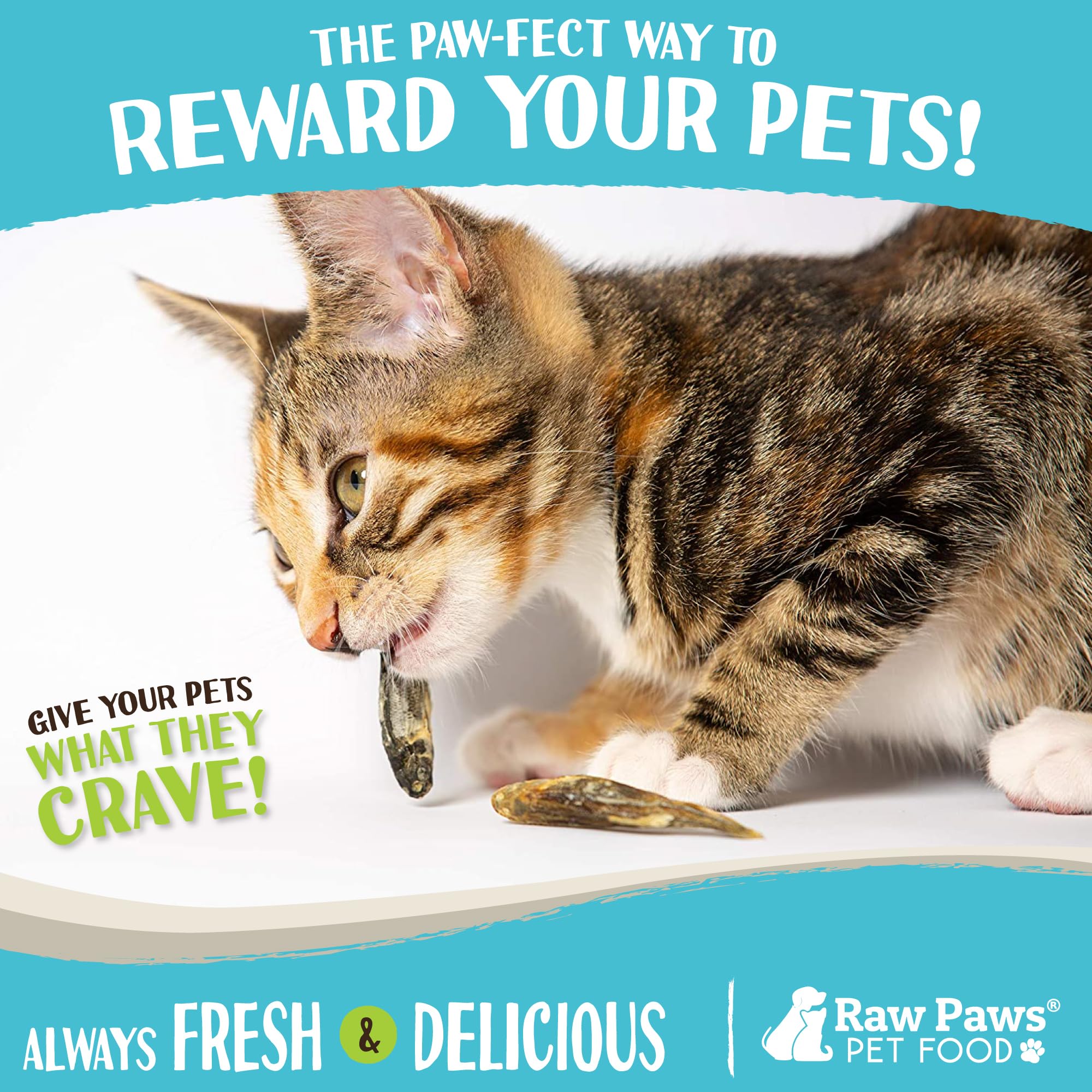 Raw Paws Smelt Freeze Dried Minnows for Cats & Dogs, 2-oz - Made in USA - Freeze Dried Fish for Cats - Single Ingredient Fish Do