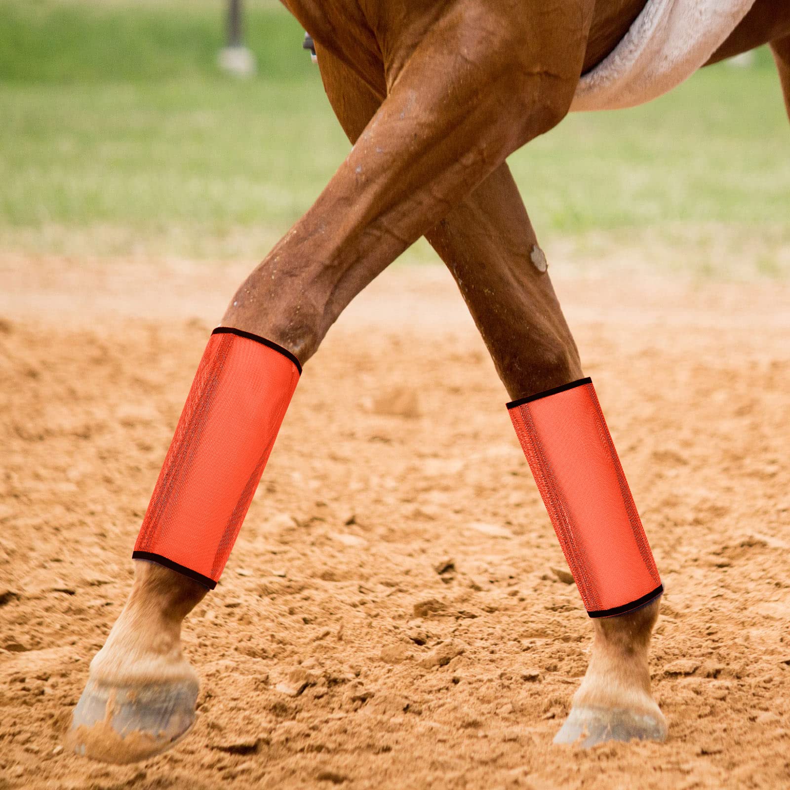 Jexine 12 Fly Boots for Horse Set of 12 Loose Breathable Mesh Horse Fly Sheets Protective Horse Leg Wraps Leggings for Preventin