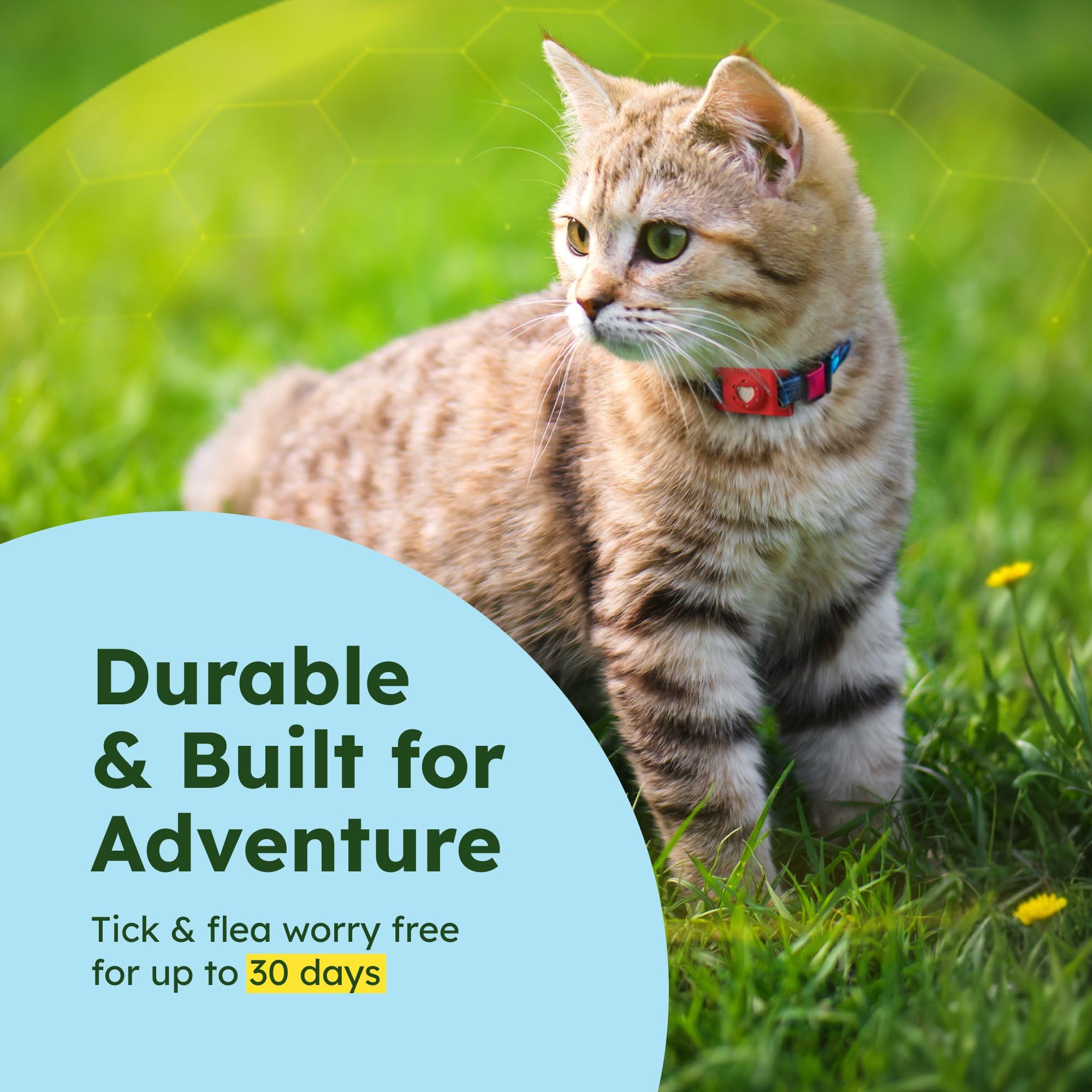 BugMD Paw Guardian Flea & Tick Prevention Pendant for Dogs & Cats, Red, with AirTag Holder, Plant-Powered, 1 Pack