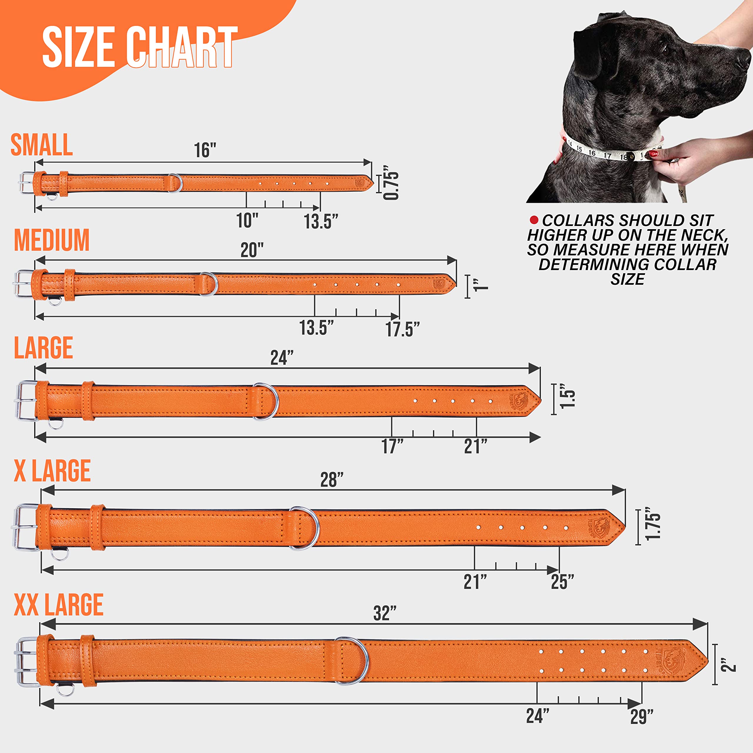 Riparo Orange Leather Dog Collar - Padded Heavy Duty Wide Dog Collar For Small, Medium, Large And Extra Large Dogs With Dog Tag