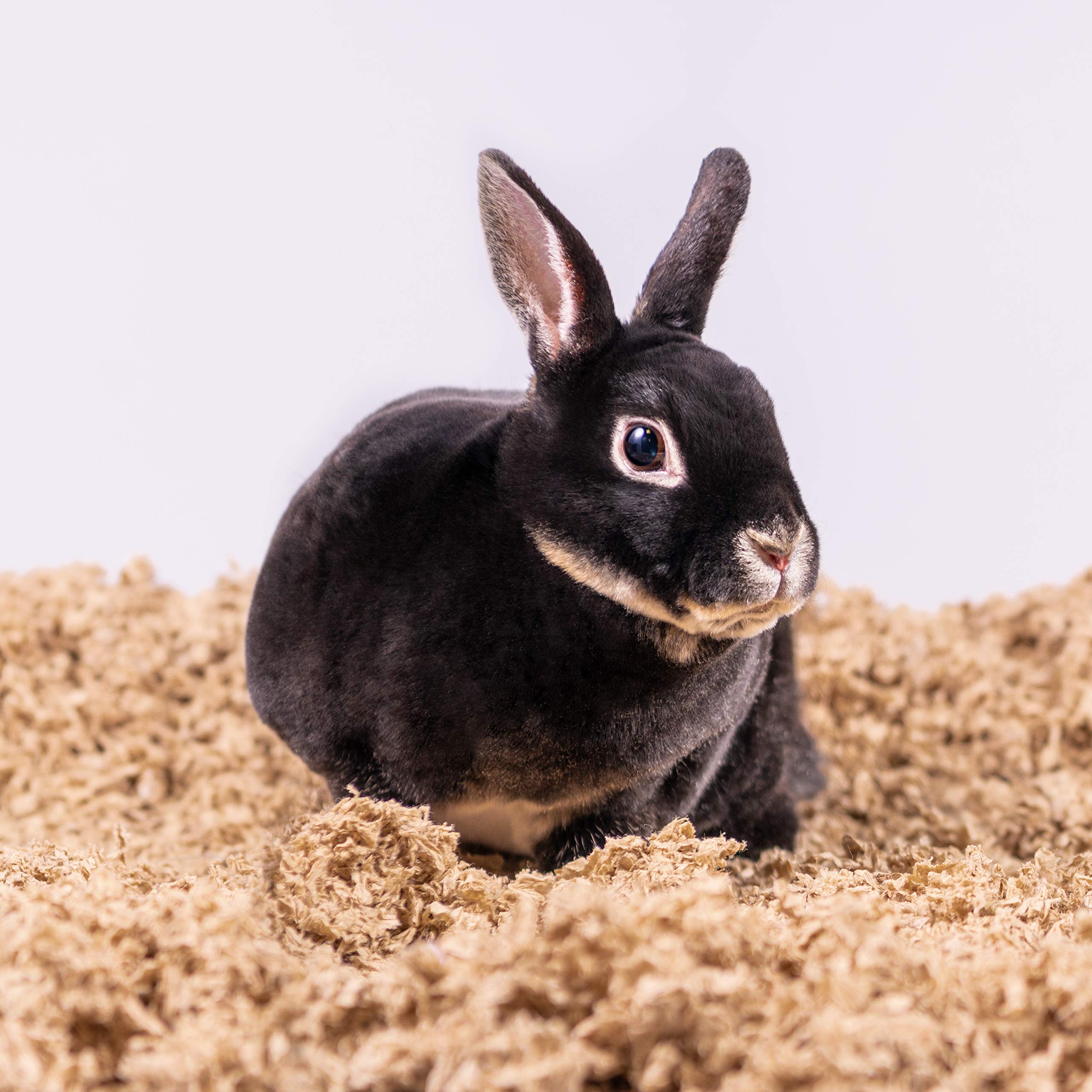 PETSPICK Uber Soft Paper Pet Bedding for Small Animals, Natural, 56L