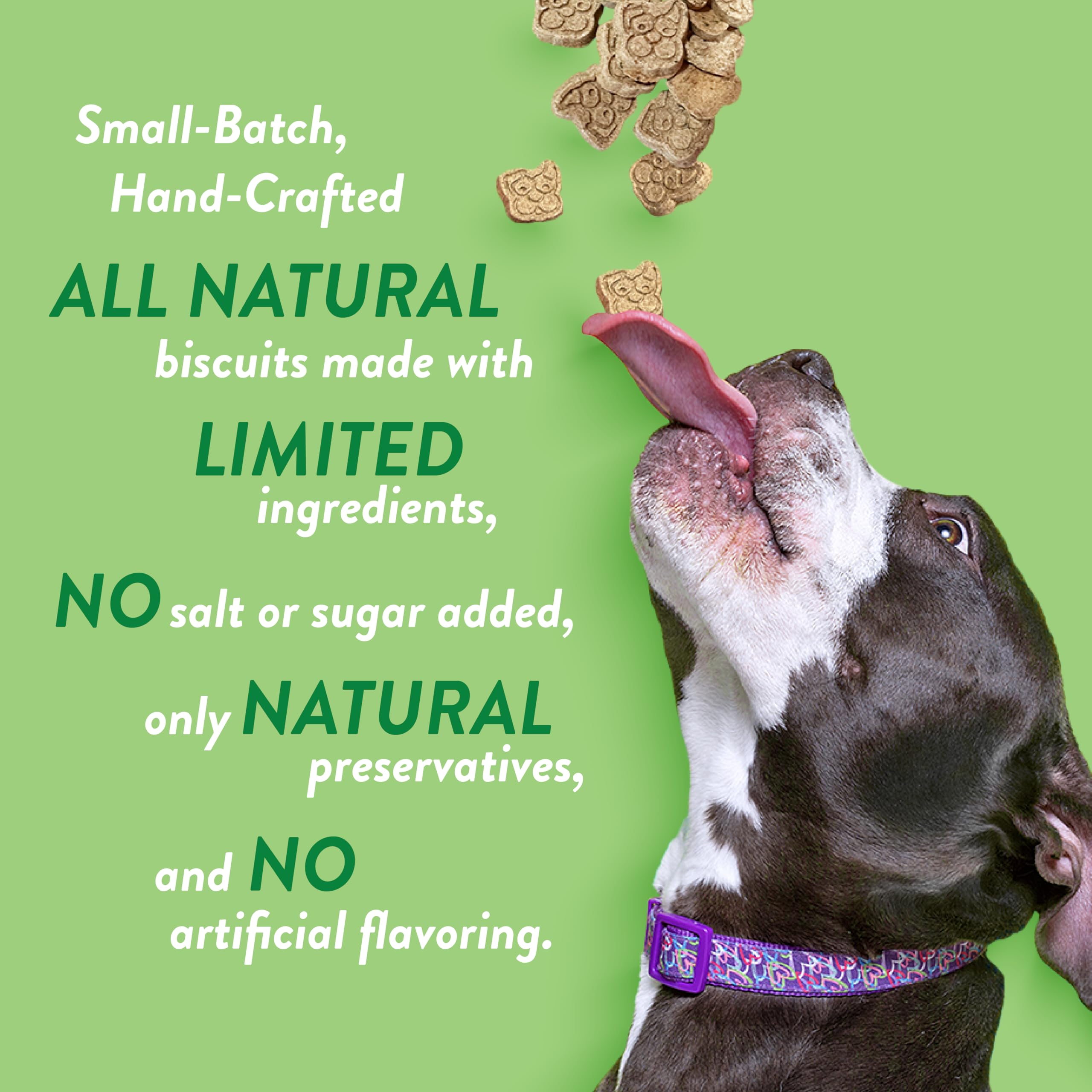 Spunky pup Every Day Biscuit Dog Treats - All-Natural, Handmade in USA, Perfect for Training or Snacking, 4 lb Resealable Bucket