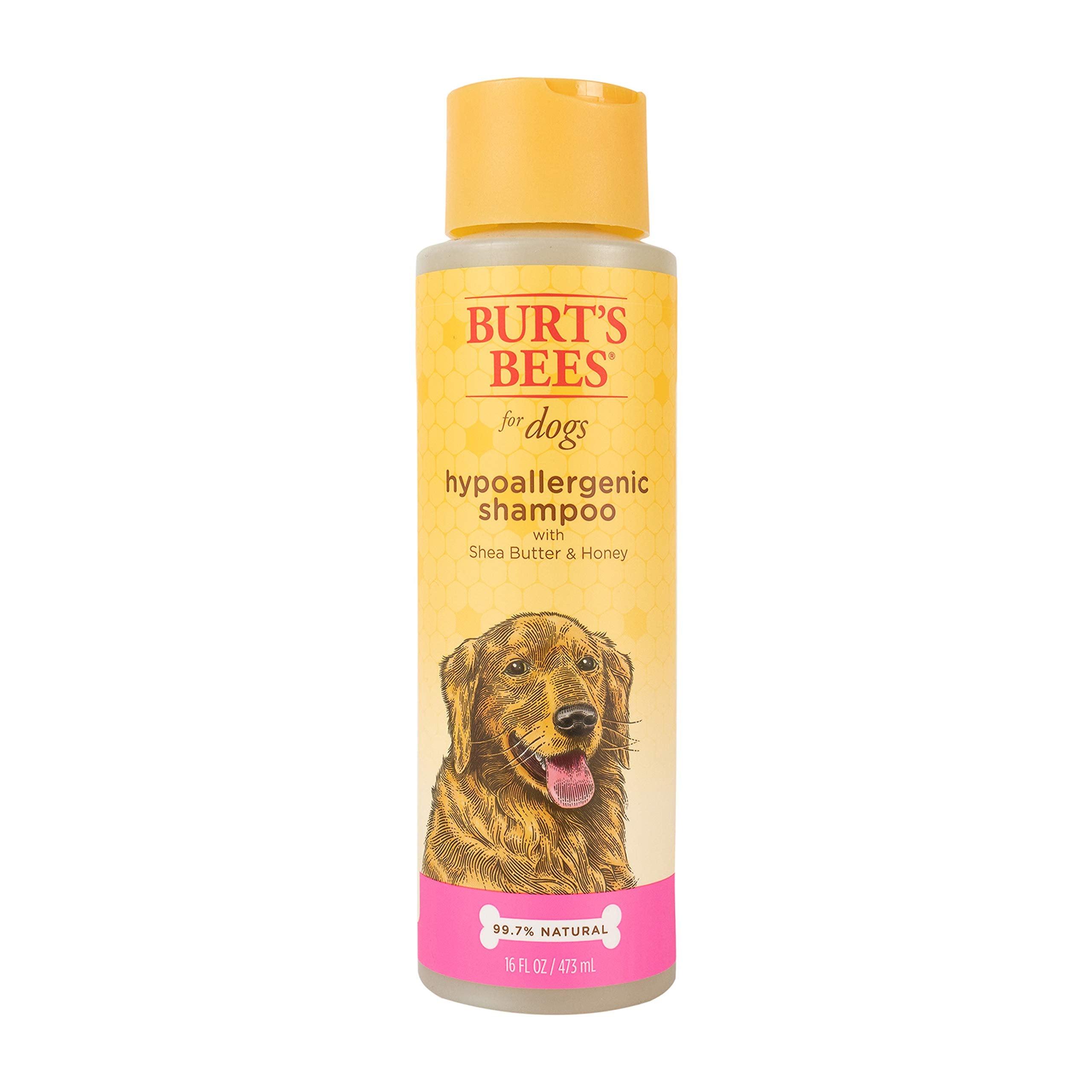 Burt'S Bees For Pets Hypoallergenic Shampoo For Dogs With Shea Butter And Honey, 95% Natural Origin Formulas, Shampoo For Sensitive Dogs - Gentle Dog Shampoo, 16 Oz