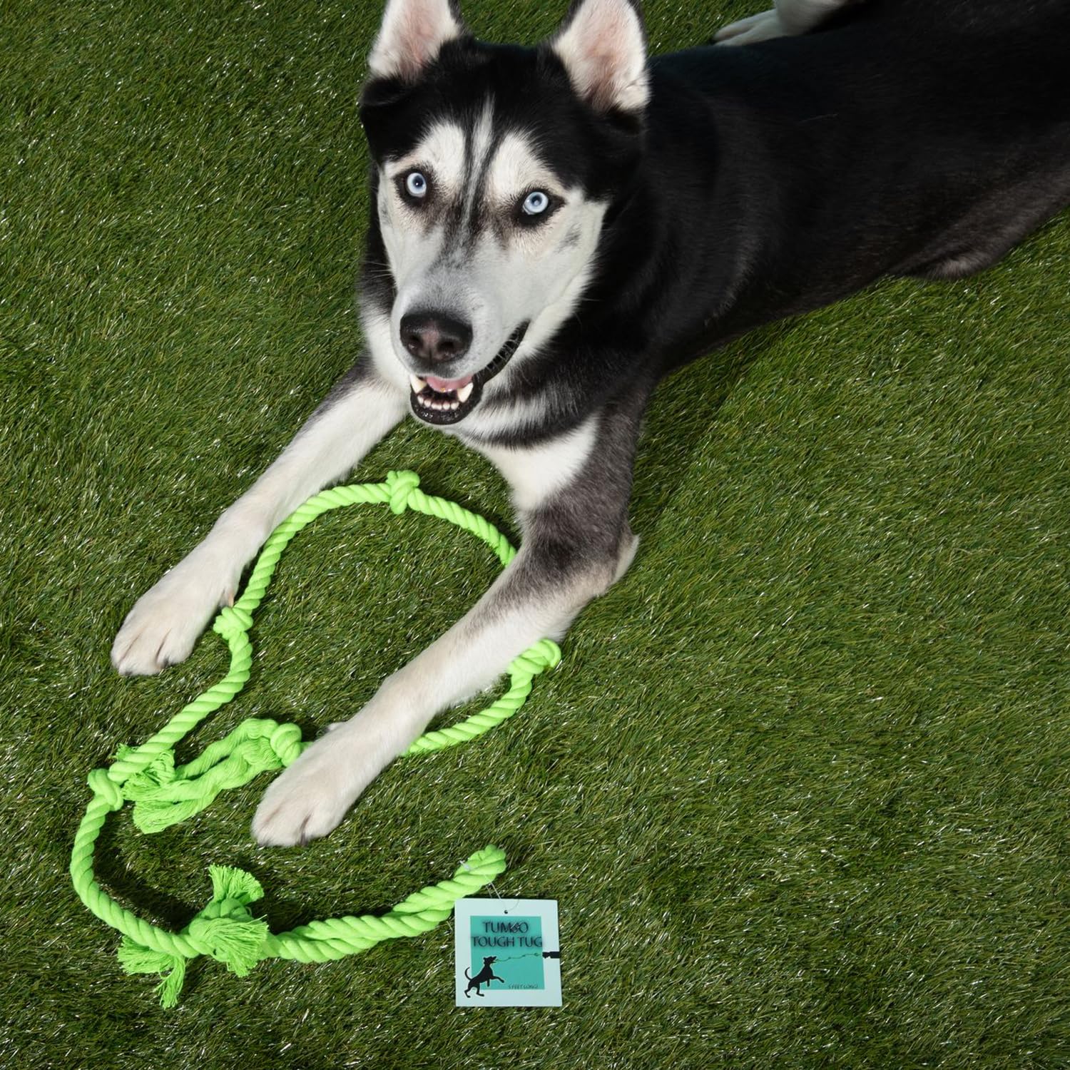 Tumbo Tough Tug Rope Dog Toy - (Green 5 ft Long Strong and Durable Rope Pull Toy with Handle) TUG of WAR Dog Toy