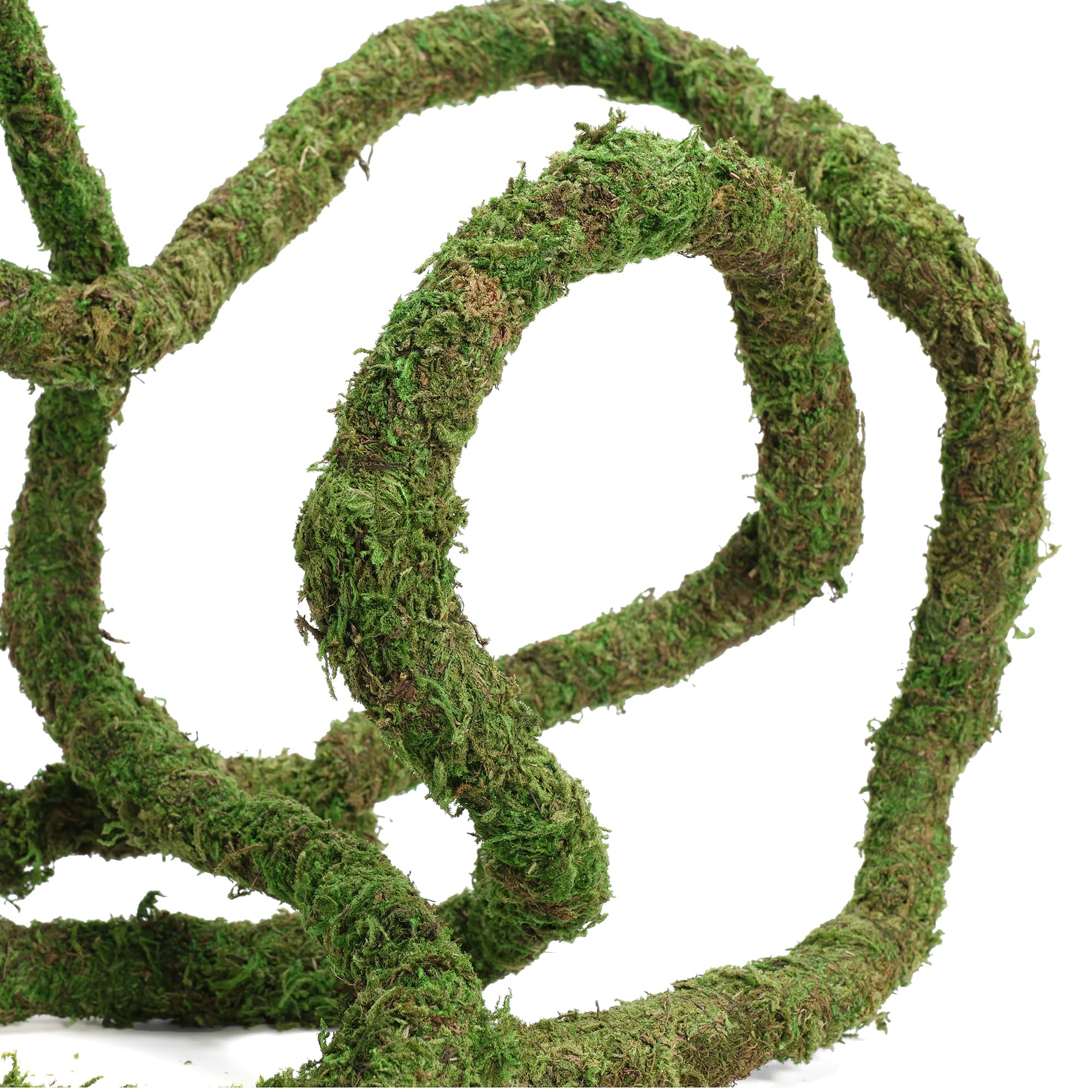 USMOLA Moss Vine for Reptiles, Bendable Climbing Vines Reptile Tank Accessories, Natural Moss Rope for Leopard Gecko, Lizard, Sn