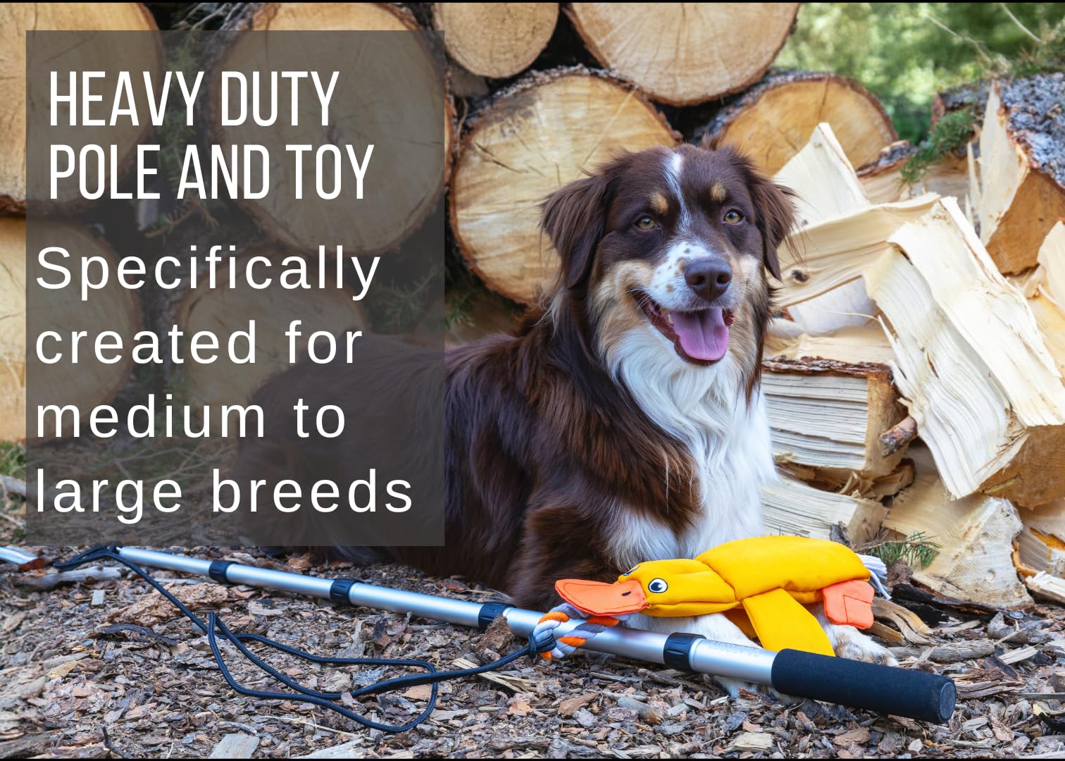 Lucolove Flirt Pole For Dogs Heavy Duty - Multi-Sensory Tough Chase Toy For Medium & Large Breeds - Extra Strong 39'' Dog Teaser